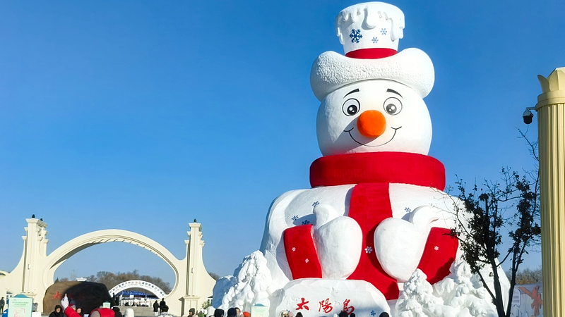 Live: The iconic snow sculpture art installations in China's Harbin