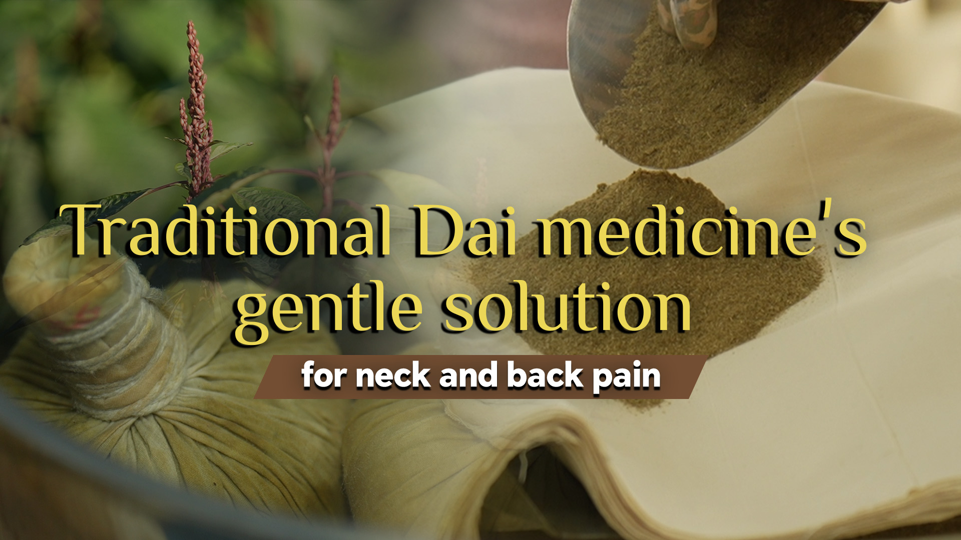 Traditional Dai medicine's gentle solution for neck and back pain