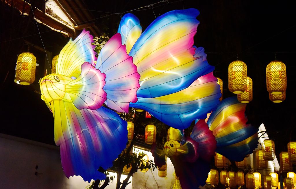 The New Year lighting ceremony of Hangzhou's Dadou Road Historic and Cultural Block takes place on the evening of January 17, 2026. /VCG