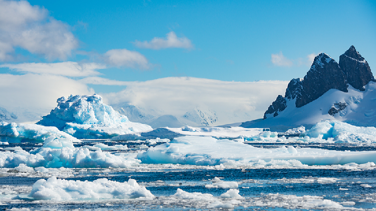 A23a, once world's largest iceberg, could disappear within weeks