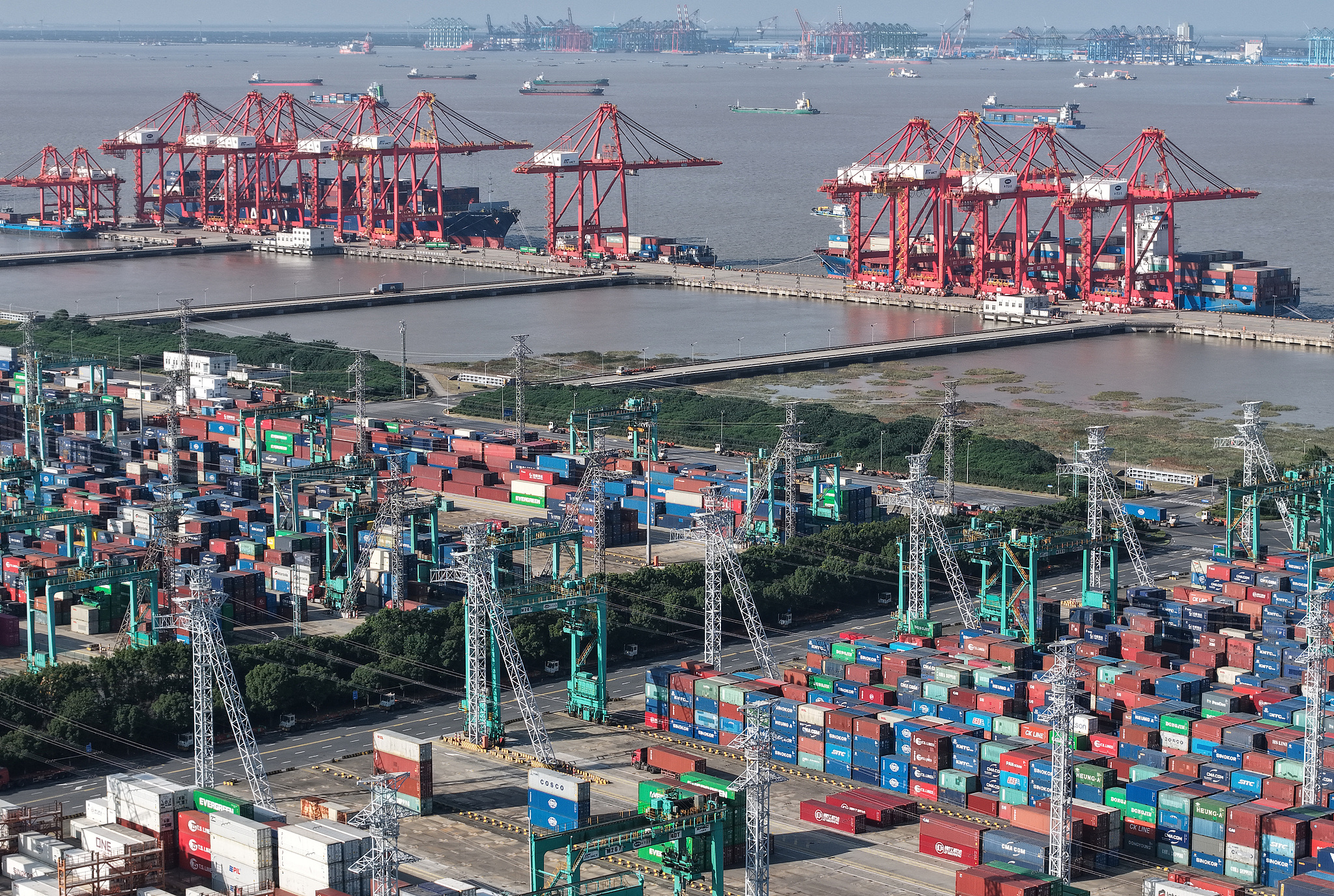 View of the container terminals of the Port of Shanghai, China, January 18, 2026./ VCG