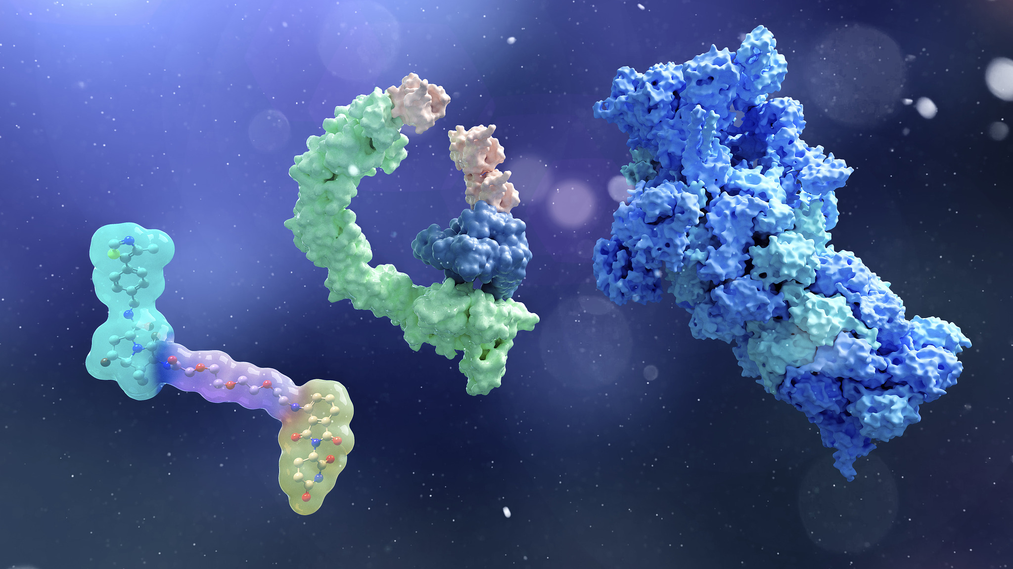 Targeted protein degradation technology components. /VCG