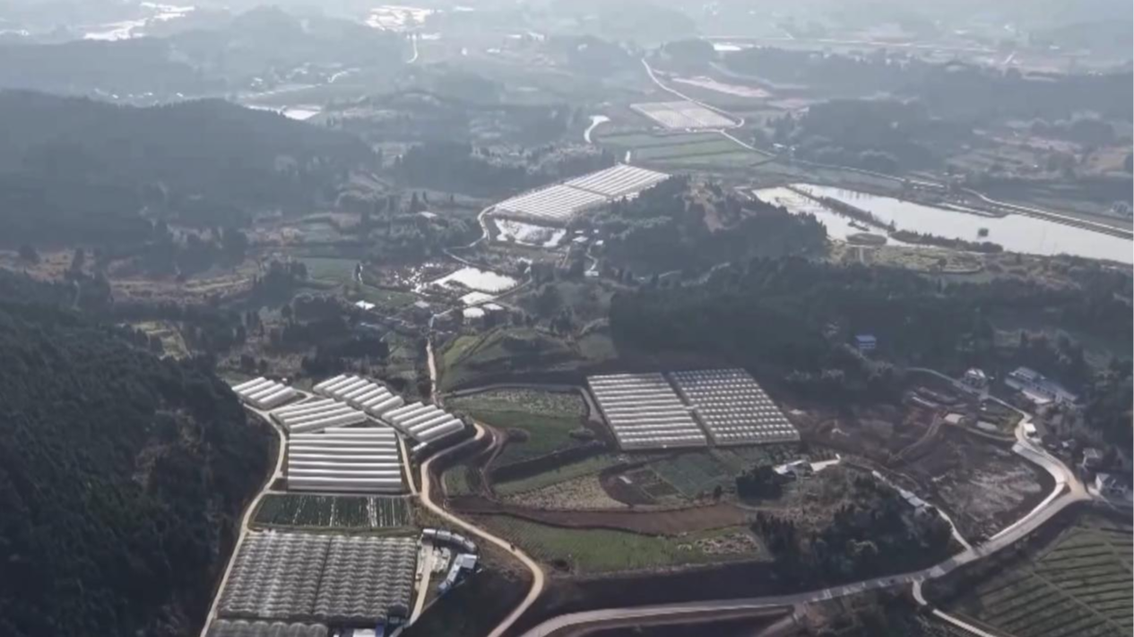 Smart greenhouse projects expand in Suining. /CMG