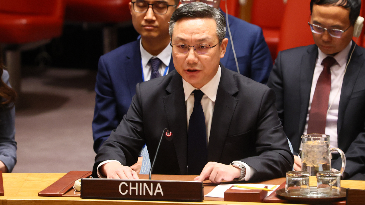 China: Combating crimes against humanity must comply with UN Charter