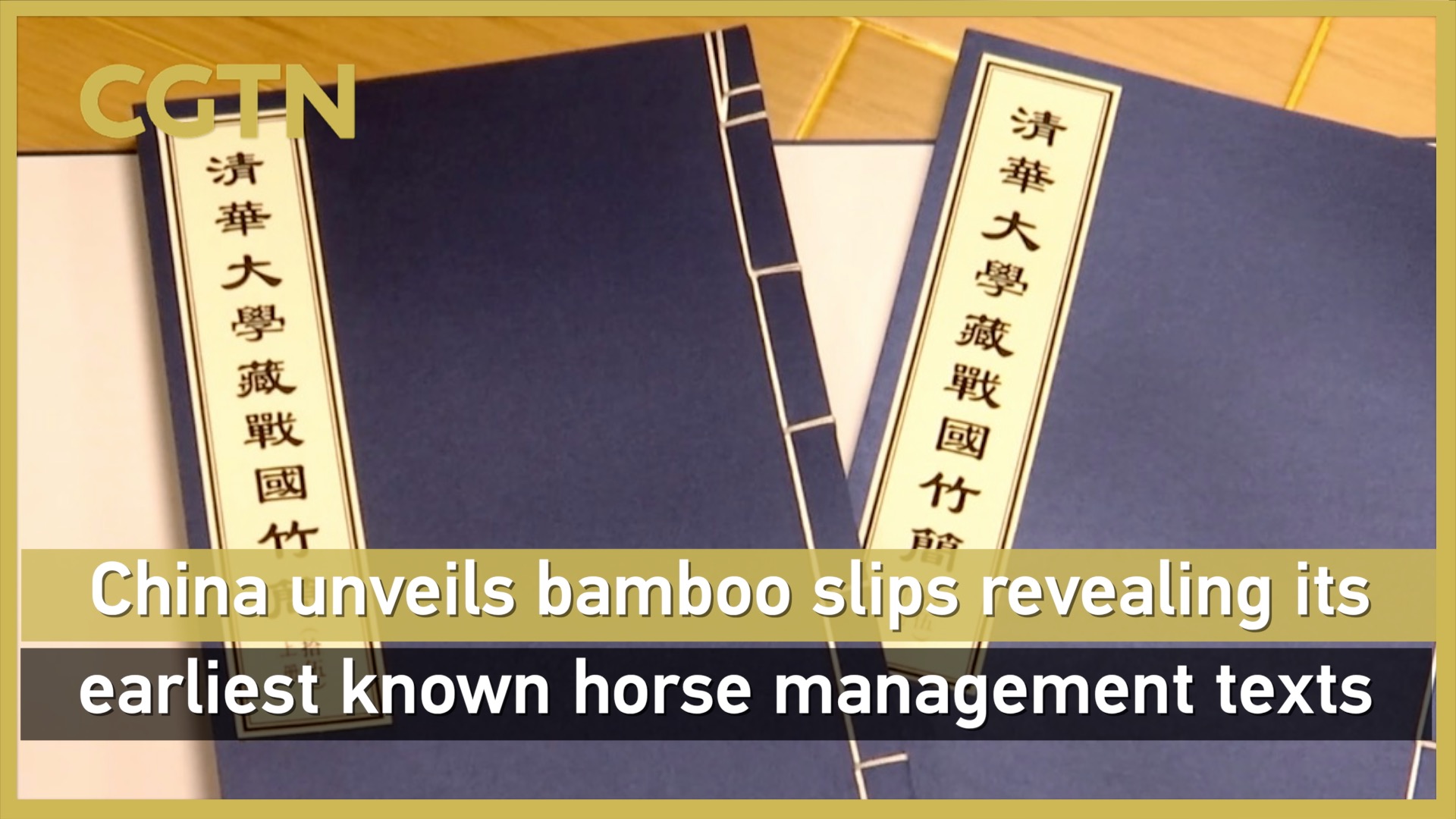 China unveils earliest known horse management texts
