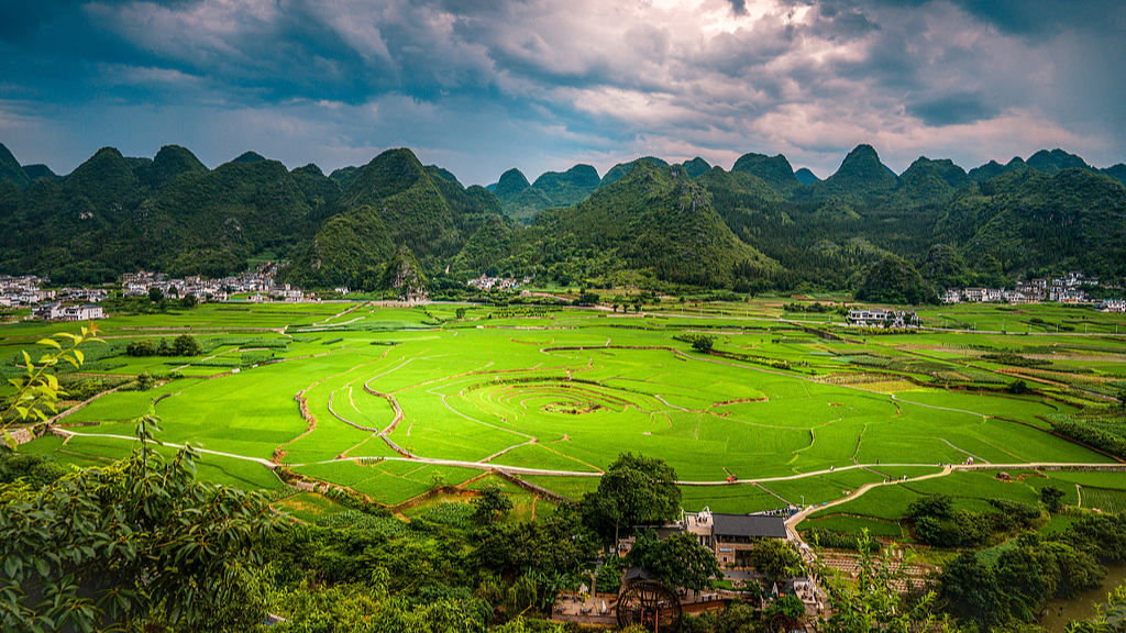 Xingyi Global Geopark, where the new plant species Neocinnamomum citratum has been found, sits in Guizhou Province, China. /VCG