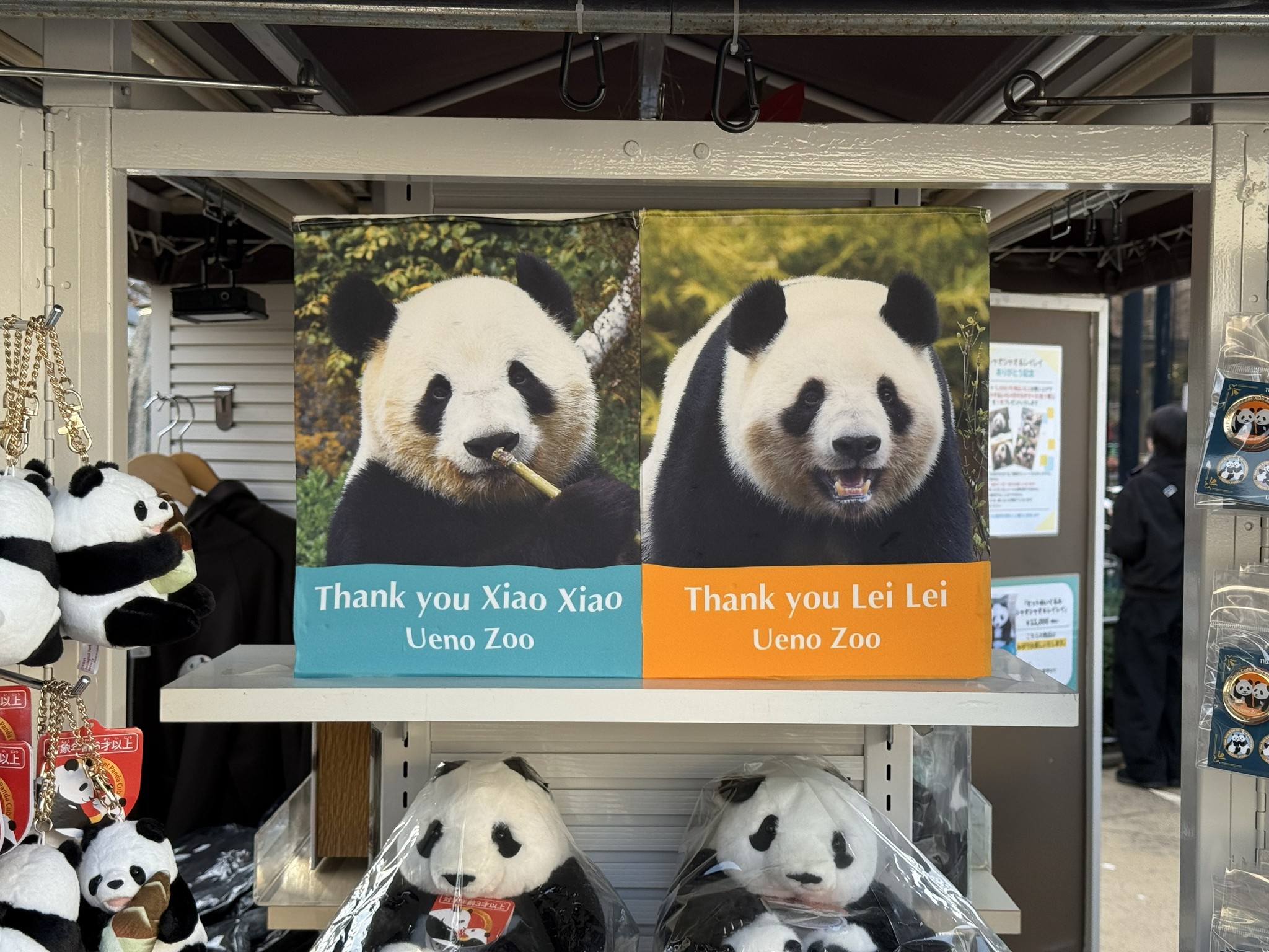 A photo taken in December, 2025, shows a poster of the twin giant pandas Xiao Xiao and Lei Lei at Tokyo's Ueno Zoo. /VCG