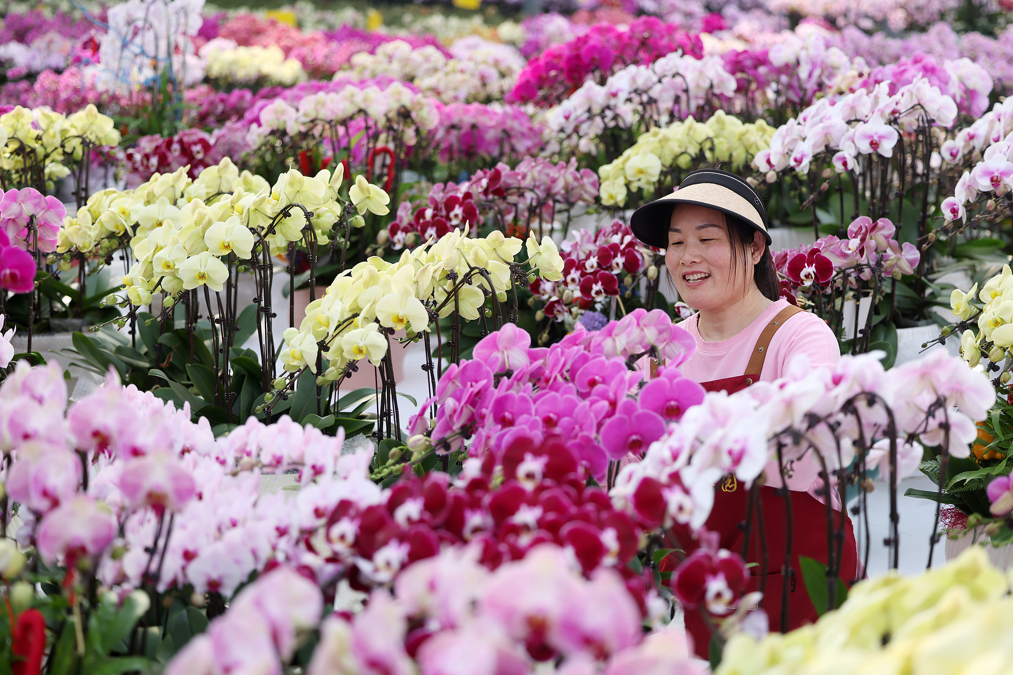 A farmer takes care of newly cultivated moth orchids at a greenhouse in Tancheng County, Shandong Province, January 21, 2026. /VCG