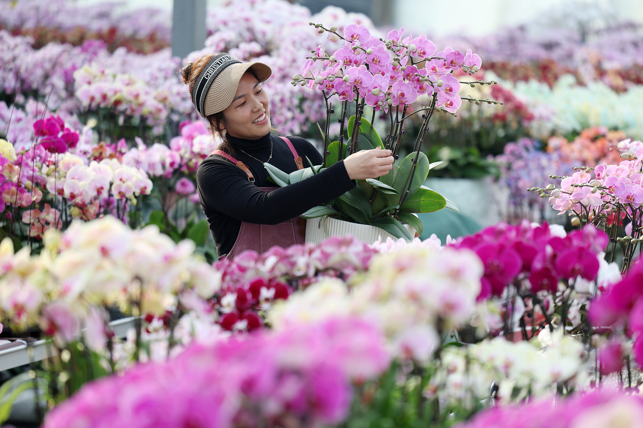 A farmer takes care of newly cultivated moth orchids at a greenhouse in Tancheng County, Shandong Province, January 21, 2026. /VCG