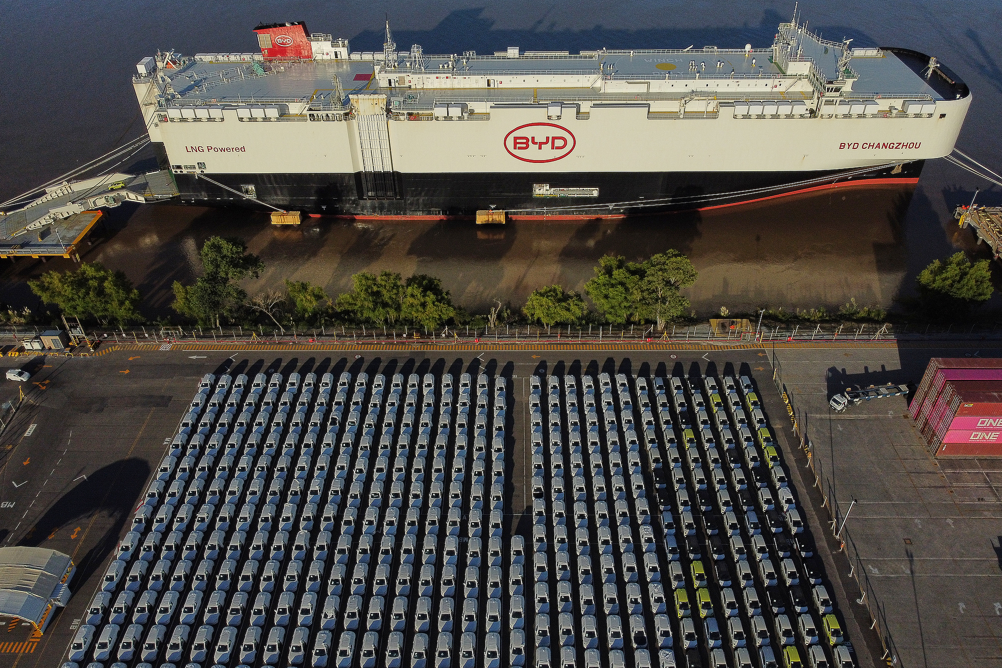 An aerial view of electric vehicles unloaded from BYD Changzhou at the Port Terminal of Zarate in Zarate, Argentina, Jan. 20, 2026. /VCG