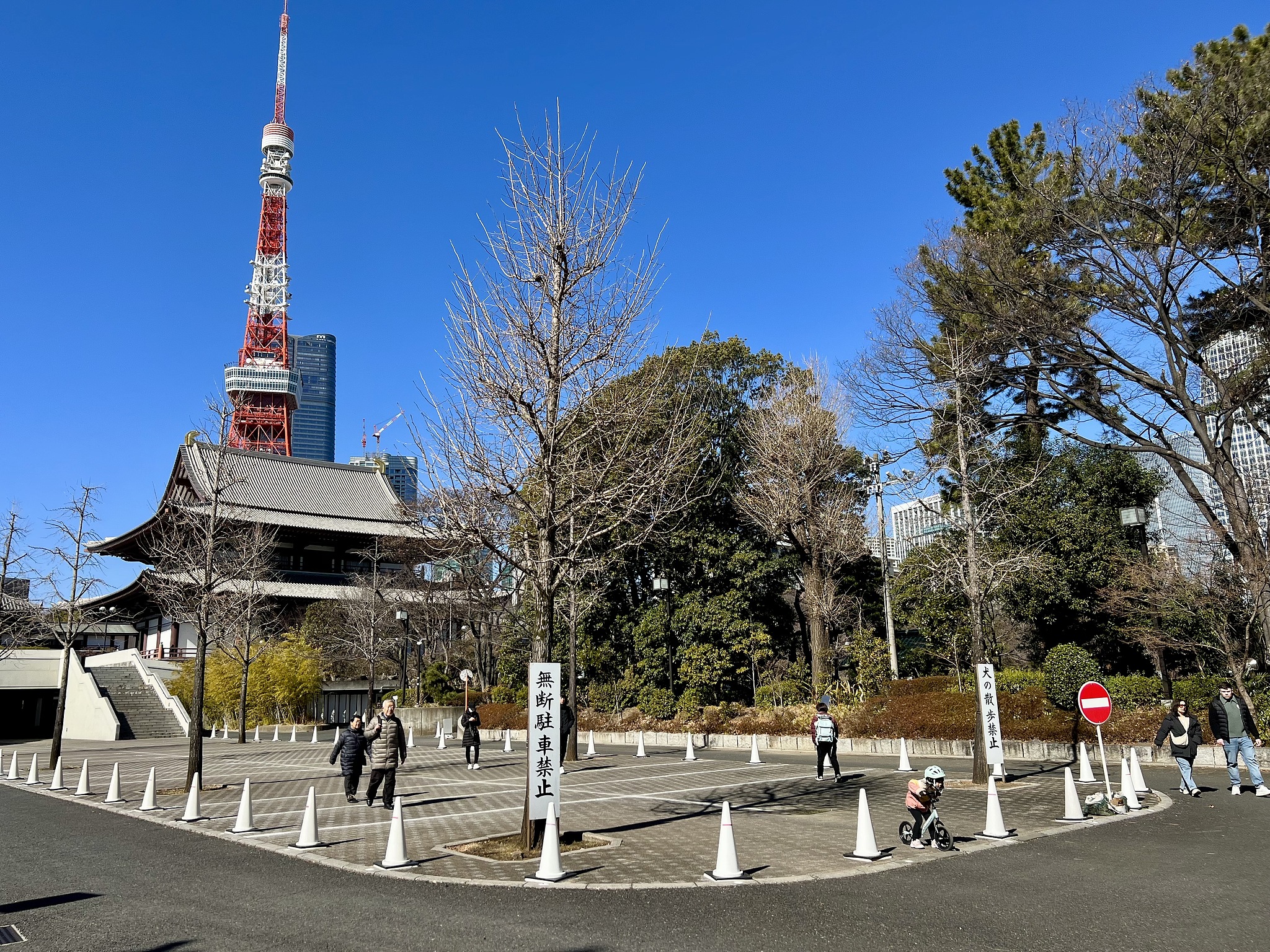 Zojoji Temple and Tokyo Tower in Tokyo, Japan, Feb. 11, 2025. /VCG