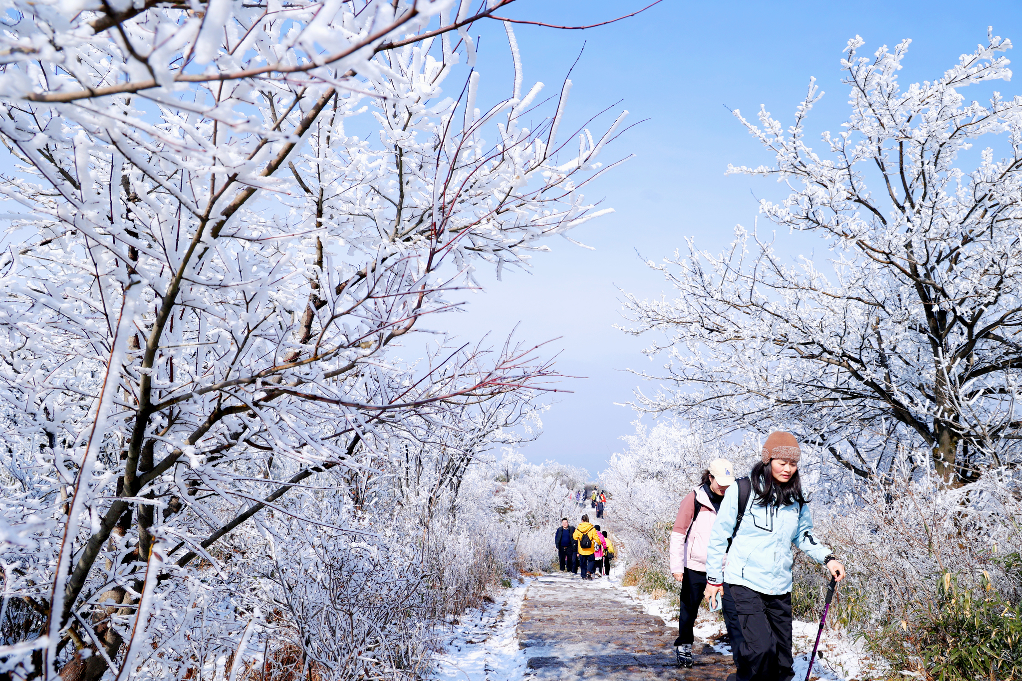 Visitors hike around Luniao Mountain in Hangzhou, Zhejiang Province, to admire its stunning rime ice scenery on January 22, 2026. /VCG