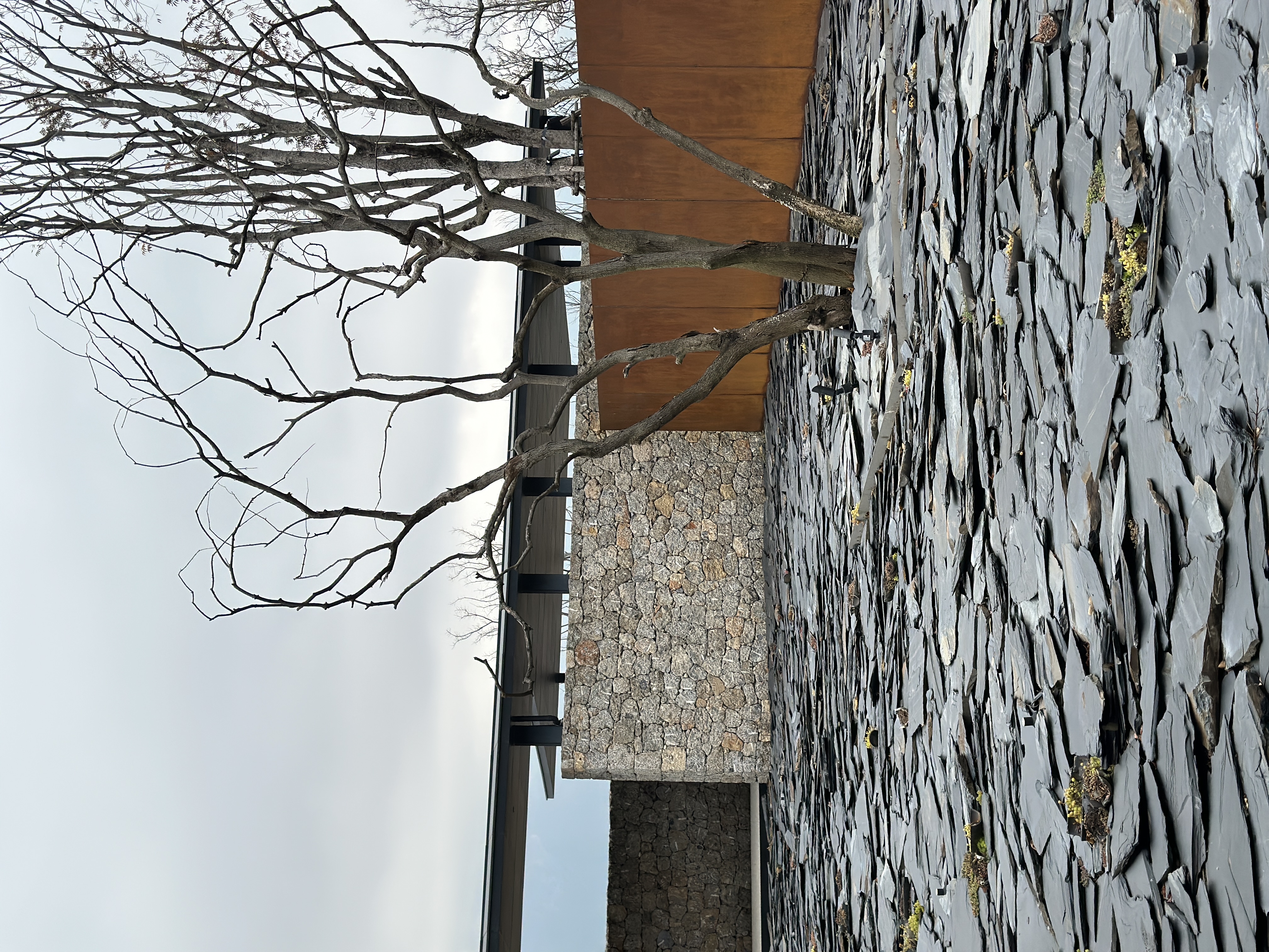 Walk through Naxi ethnic courtyards steeped in history and rediscover a slower pace of life within every storied detail. /CGTN