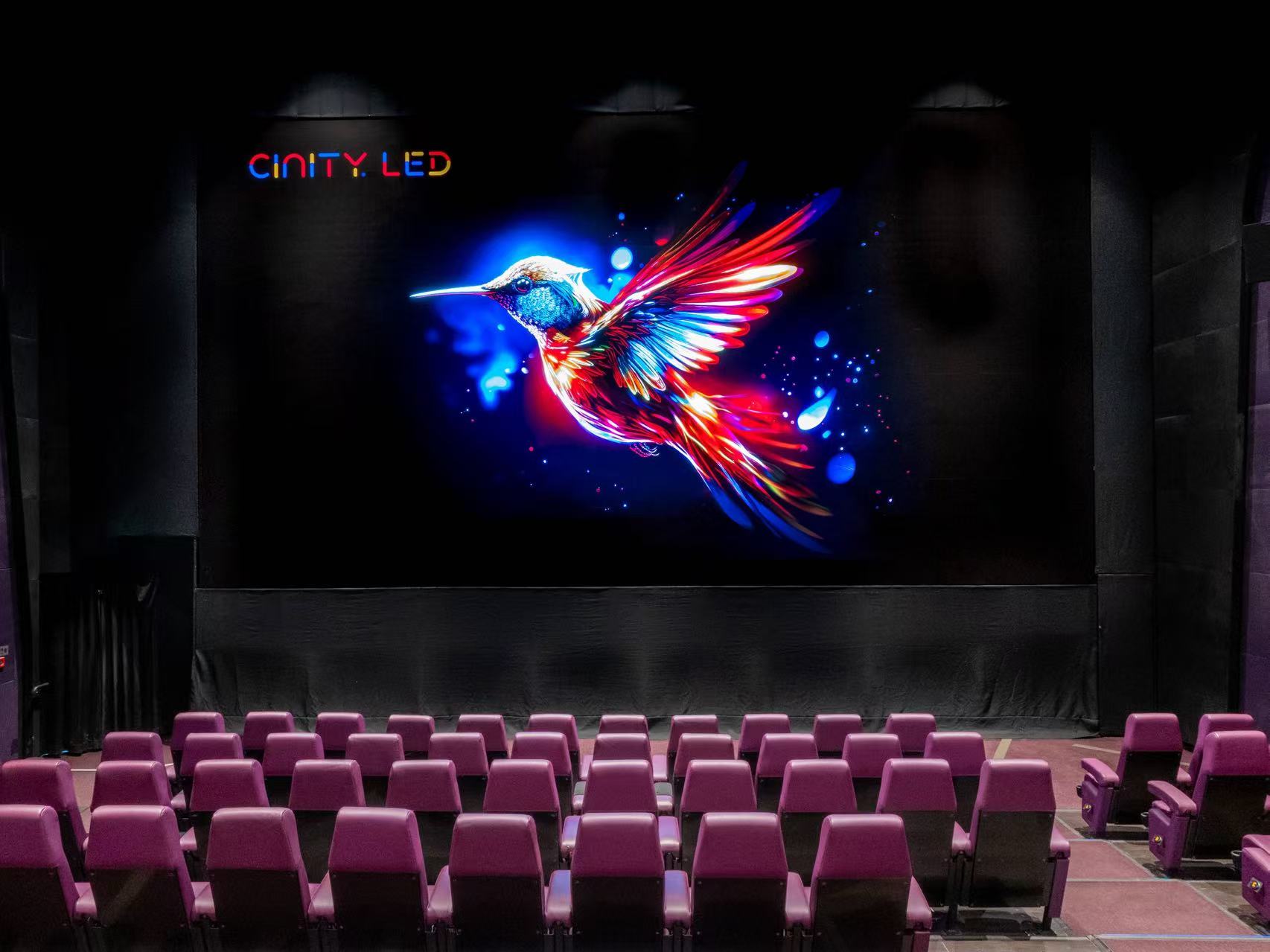 A giant CLED screen is seen in a hall of a Hong Kong cinema in January 2026. /Photo provided to CGTN