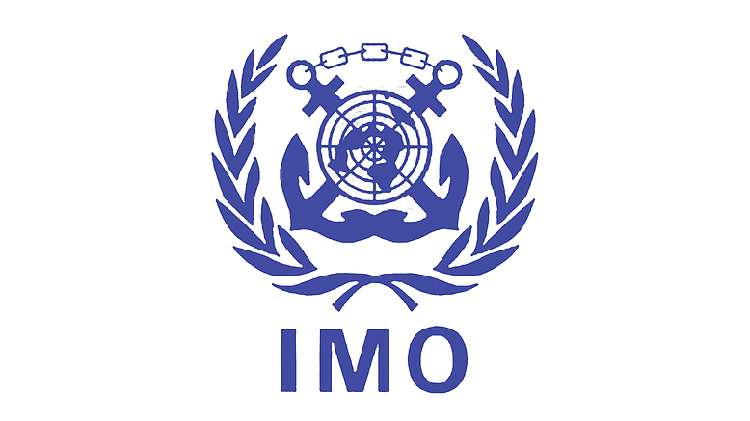 IMO chief says China's influence in maritime sector will grow