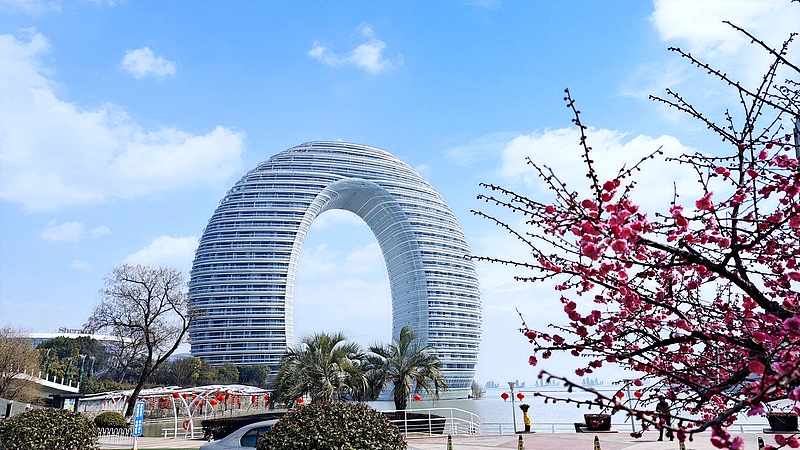 Live: See Huzhou's cultural heritage, modern vitality at Moon Square