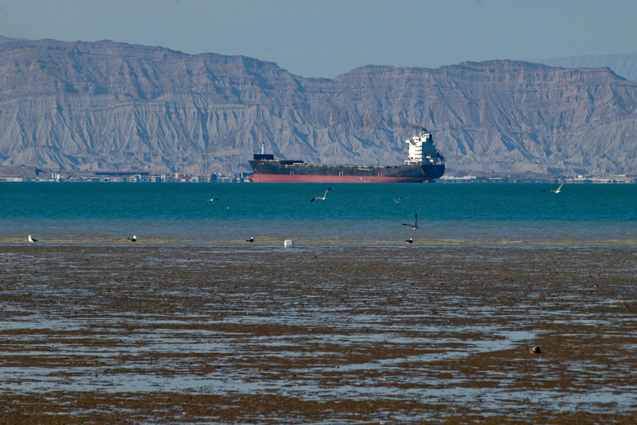Oil tanker at Shahid Rajaee Port, Qeshm Island, Iran. /VCG