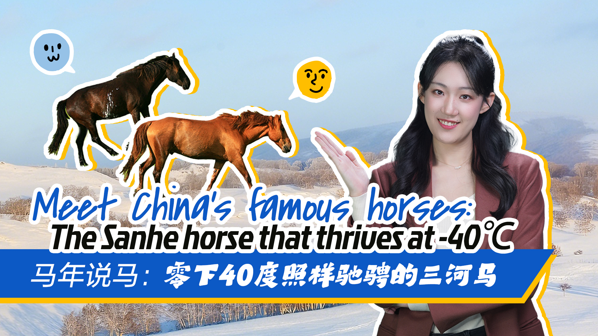 Meet China's famous horses: The Sanhe horse that thrives at -40℃
