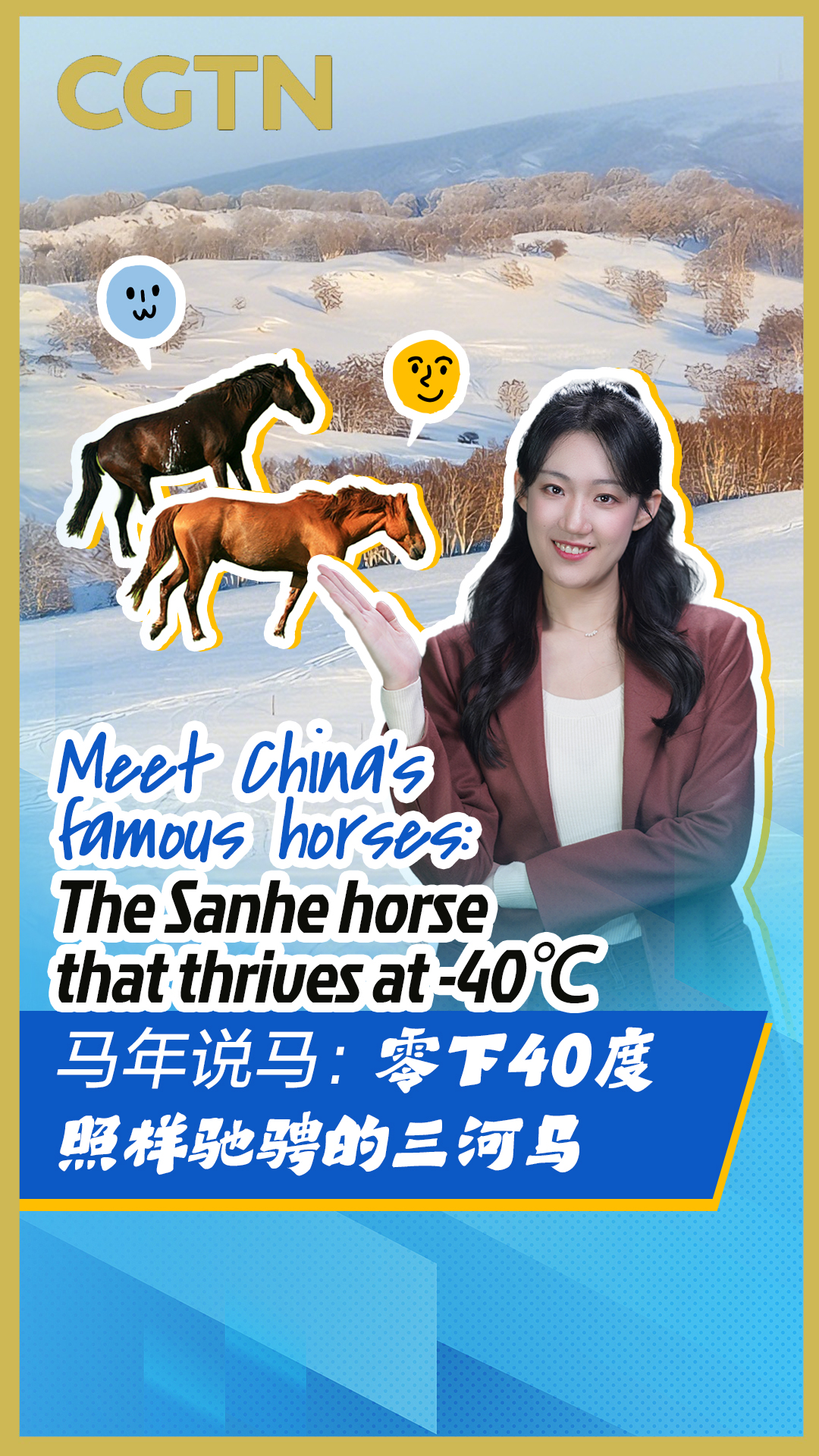 Meet China's famous horses: The Sanhe horse that thrives at -40℃