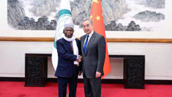 Chinese Foreign Minister holds talks with OIC Secretary-General