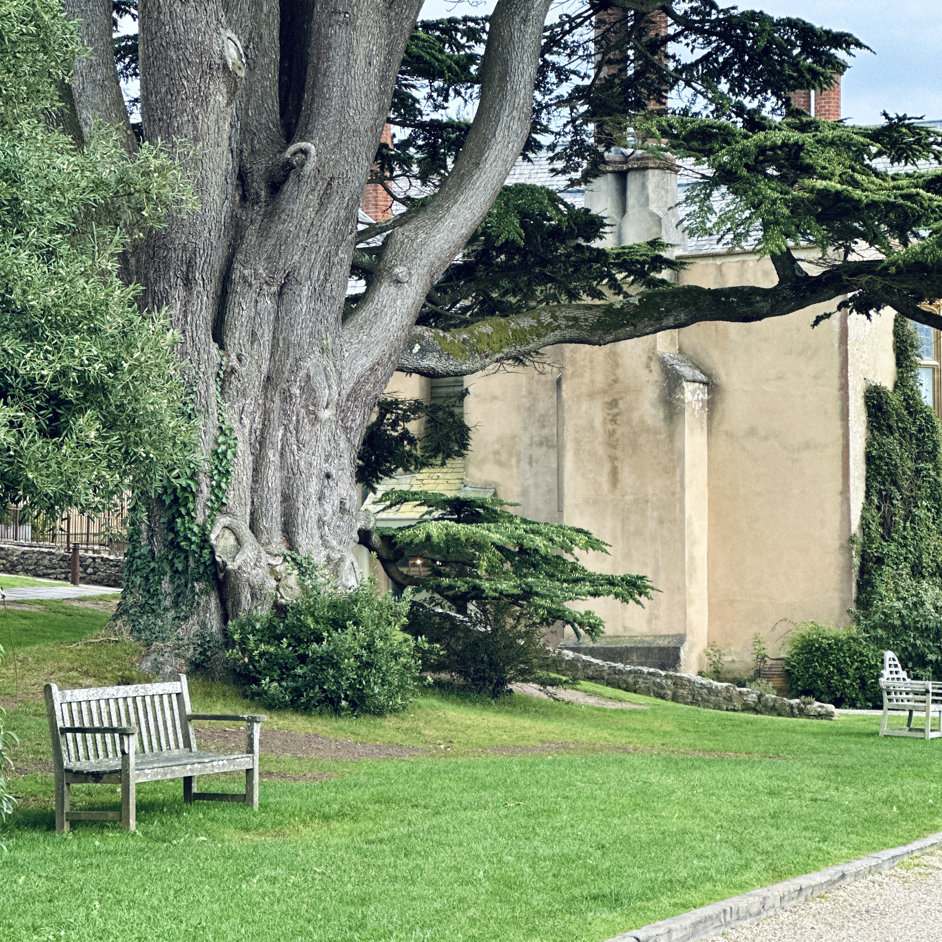 The Pig at Combe attracts visitors looking to experience the farm-to-table lifestyle and peacefulness of the Dorset countryside. /CGTN