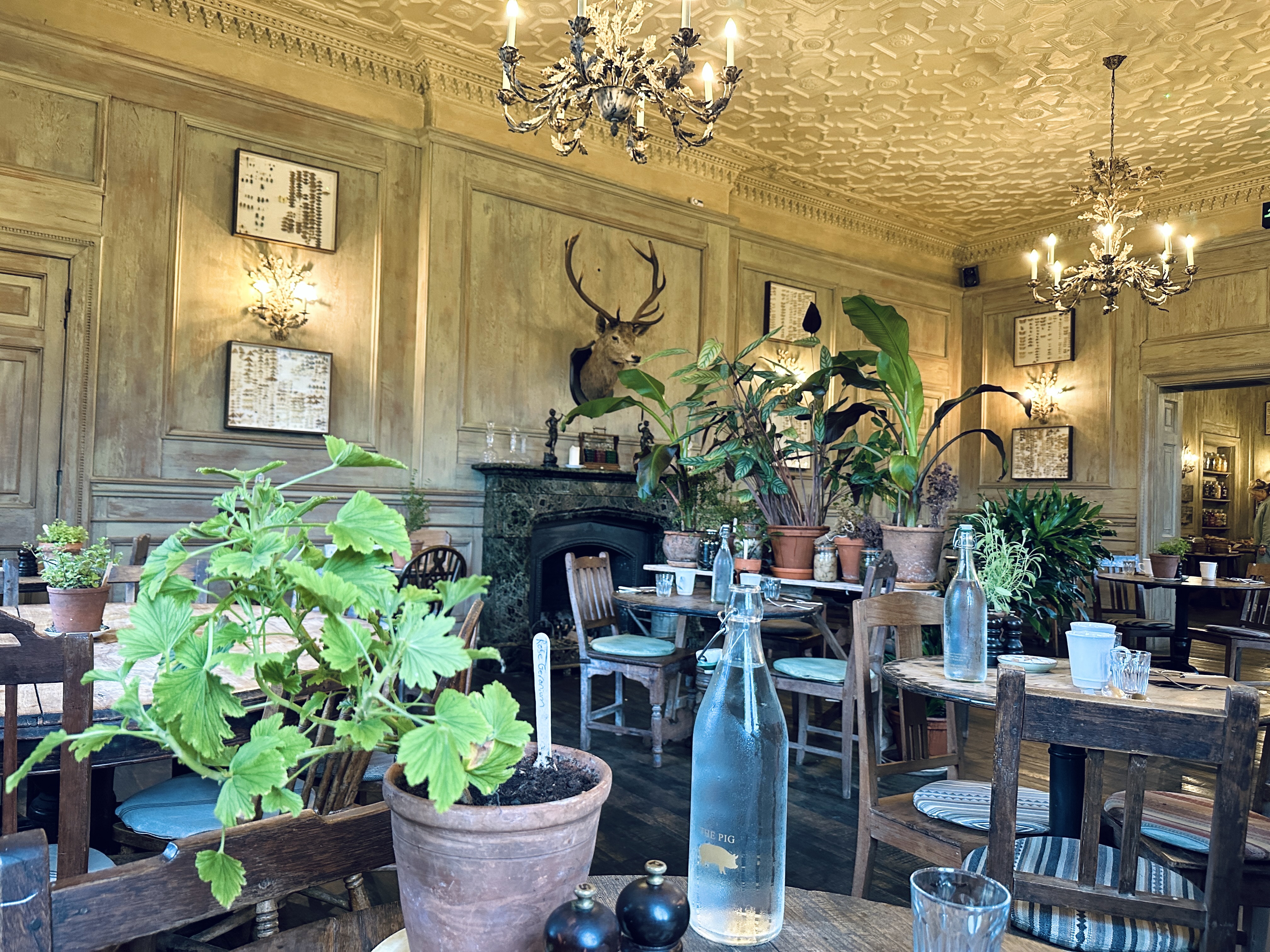 The Pig at Combe attracts visitors looking to experience the farm-to-table lifestyle and peacefulness of the Dorset countryside. /CGTN