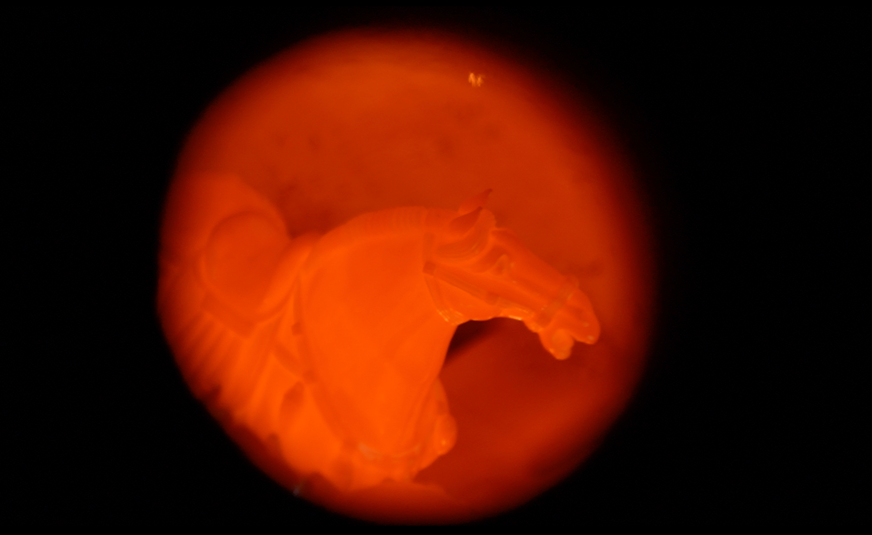 Molds being fired inside the kiln. /CGTN