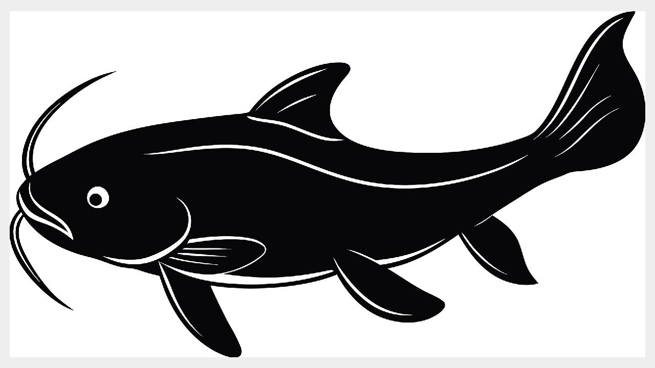 Chinese team maps near-complete genome of protected fish species