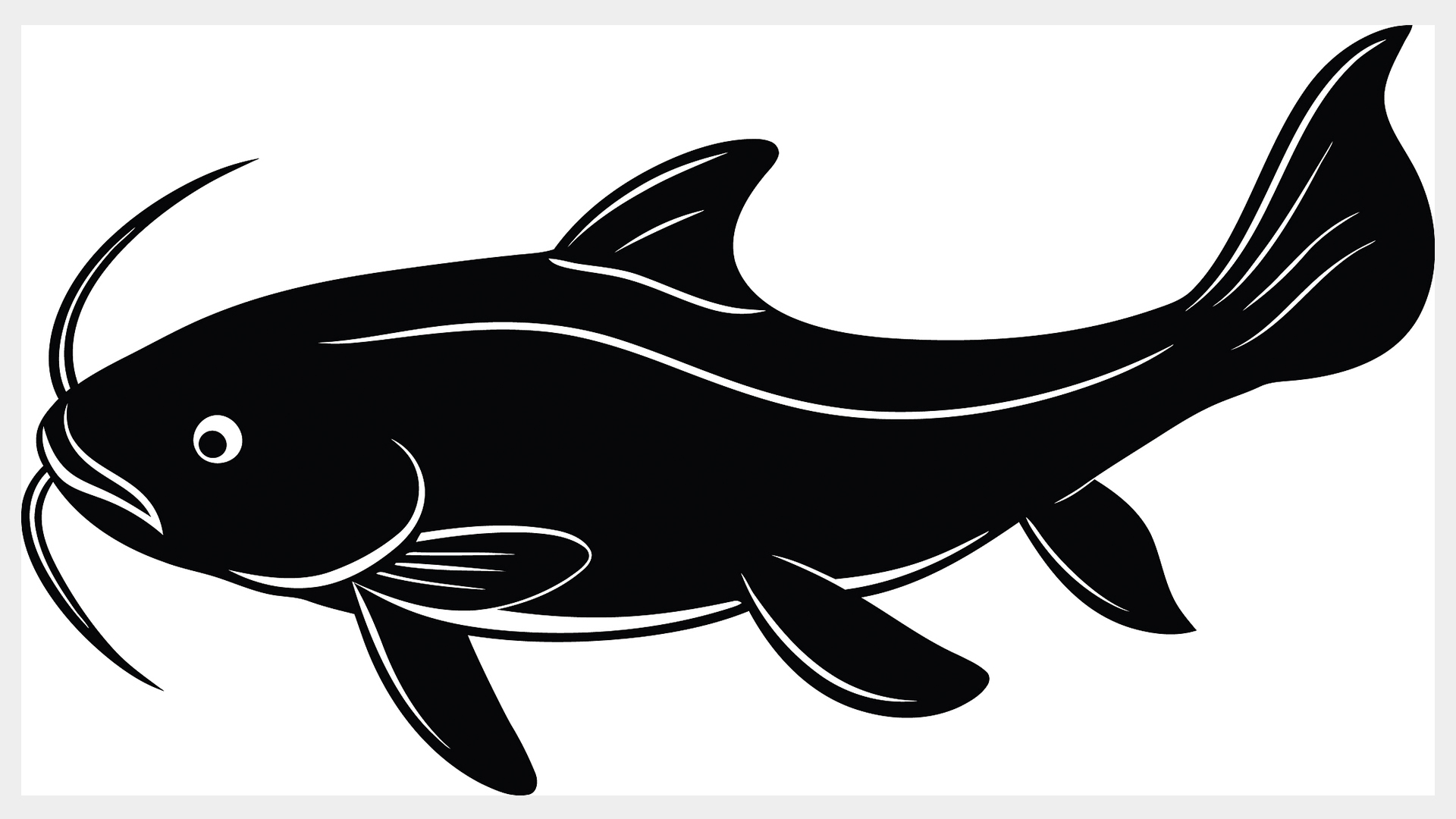 A silhouette of a catfish. /VCG