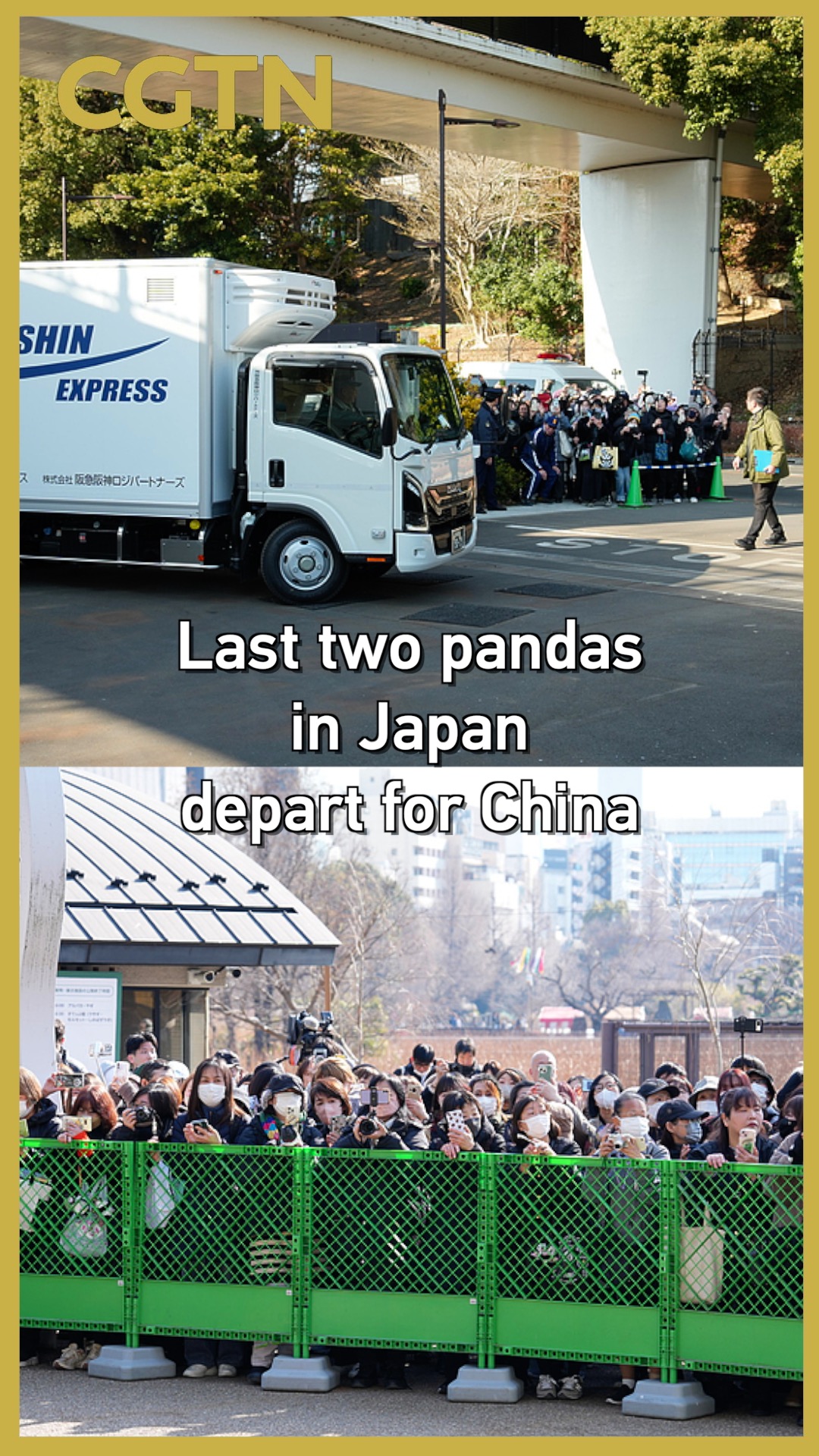 Last two pandas in Japan depart for China