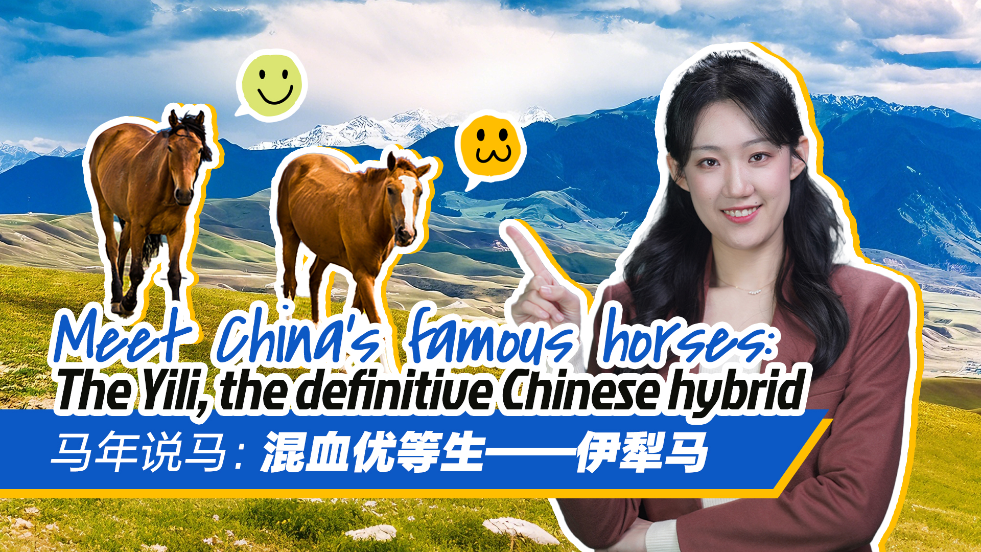 Meet China's famous horses: The Yili, the definitive Chinese hybrid