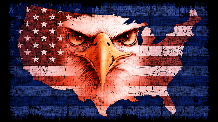 CGTN Poll: U.S. hegemonic diplomacy raises global governance alarms