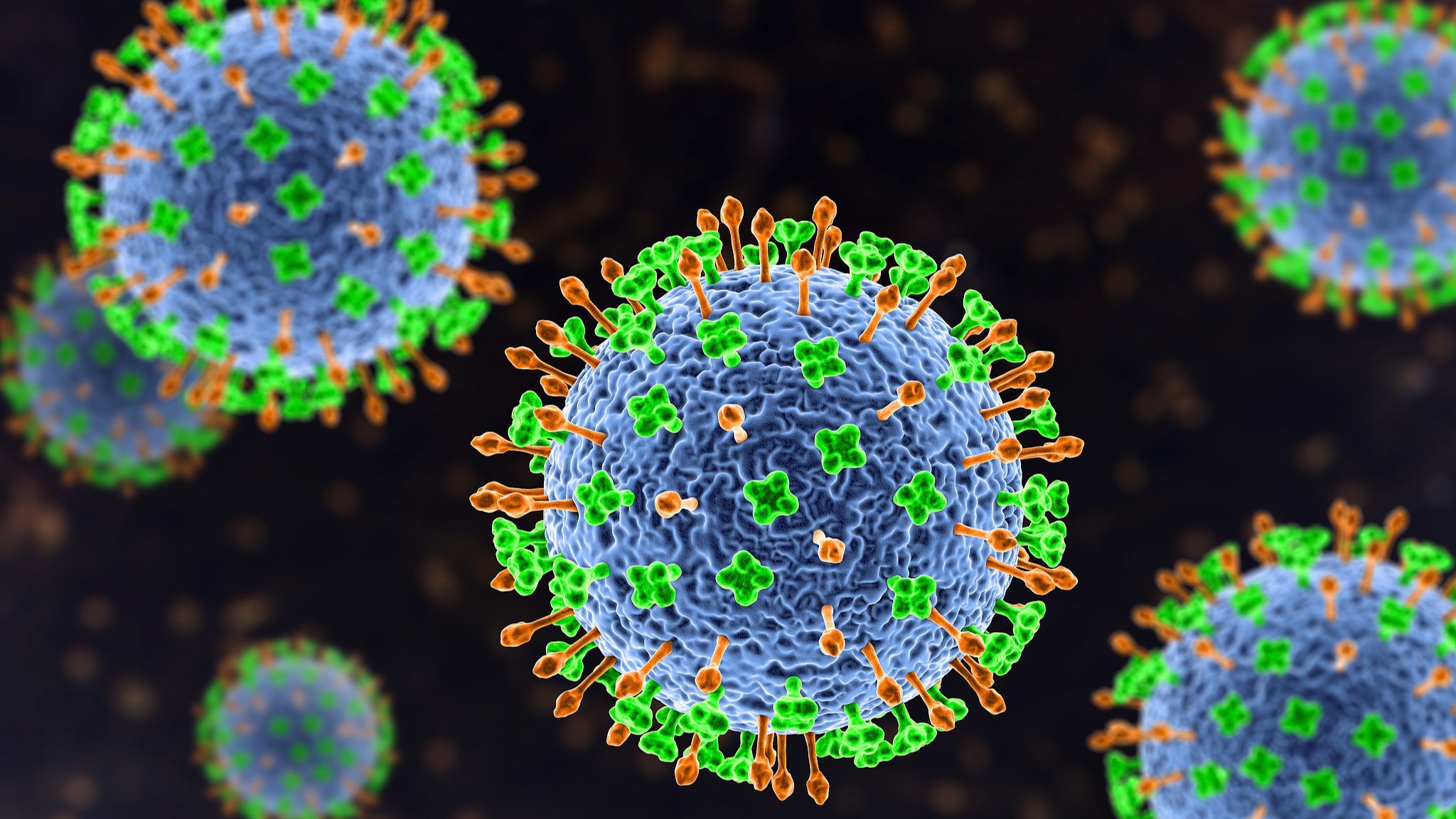 Illustration of Nipah virus particles. /VCG