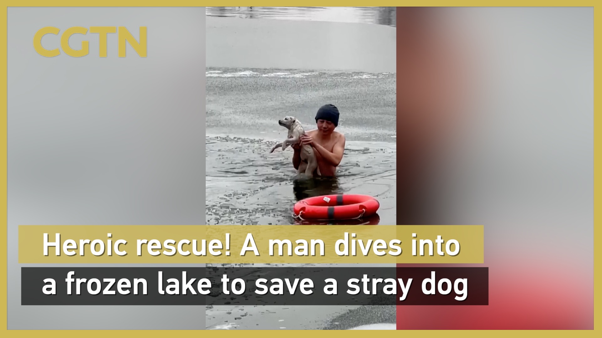 Heroic rescue! A man dives into a frozen lake to save a stray dog