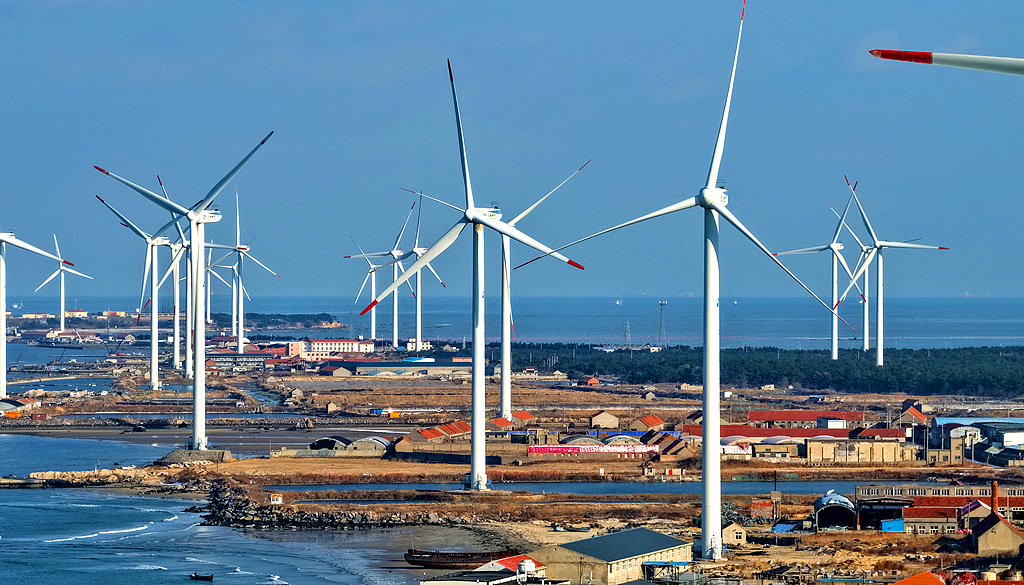 A wind farm in east China's Shandong Province, December 26, 2025. /VCG