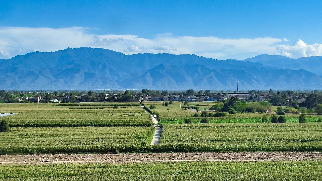 China's key regions see broad ecological gains