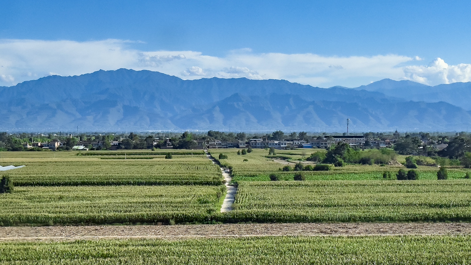 China's key regions see broad ecological gains