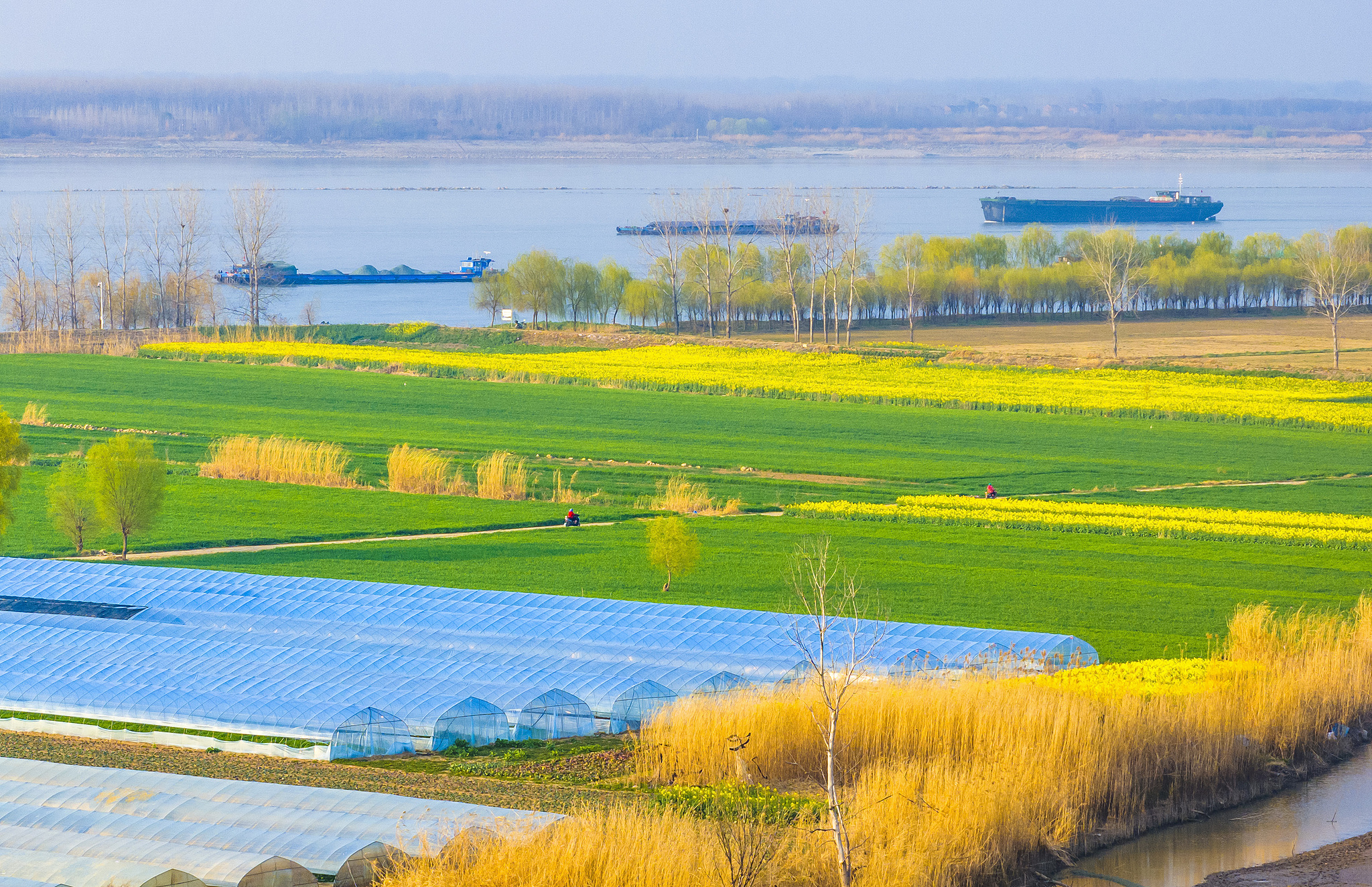 A view of Dujiang Village in Wuhu City, Anhui Province, east China, March 10, 2025. /VCG