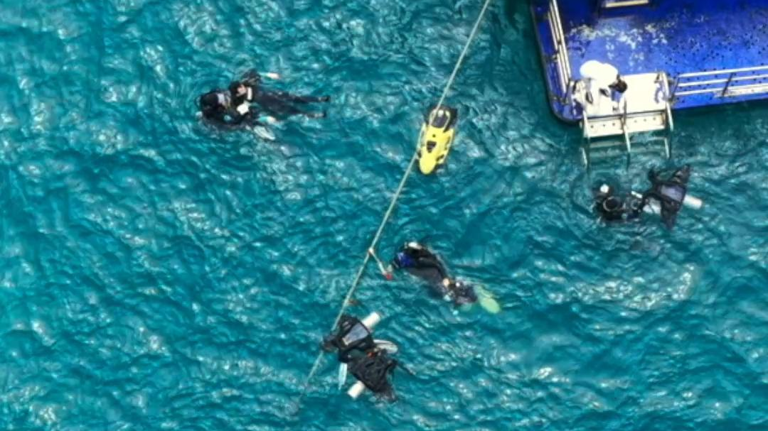 Coral gardener: Restoring life beneath the waves