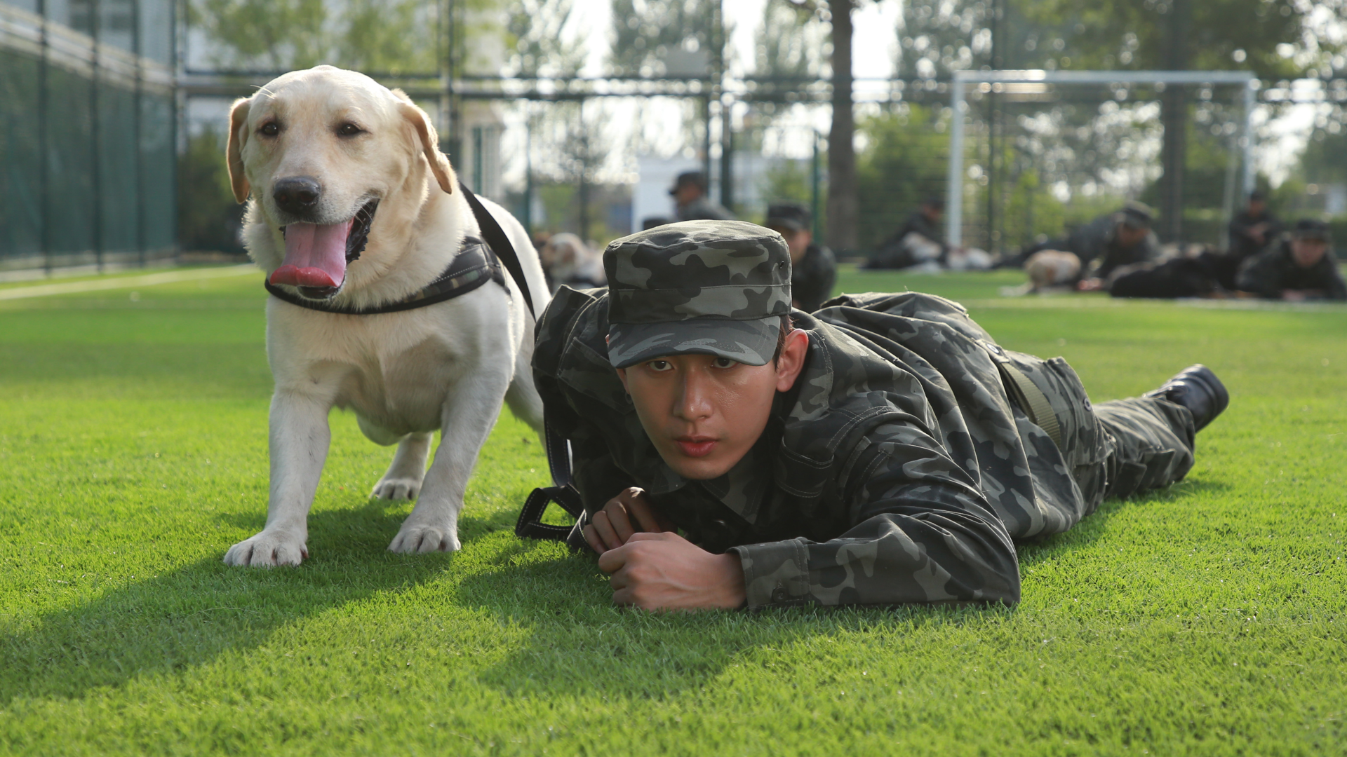 Film 'Year of the Dog' set for release on Valentine's Day