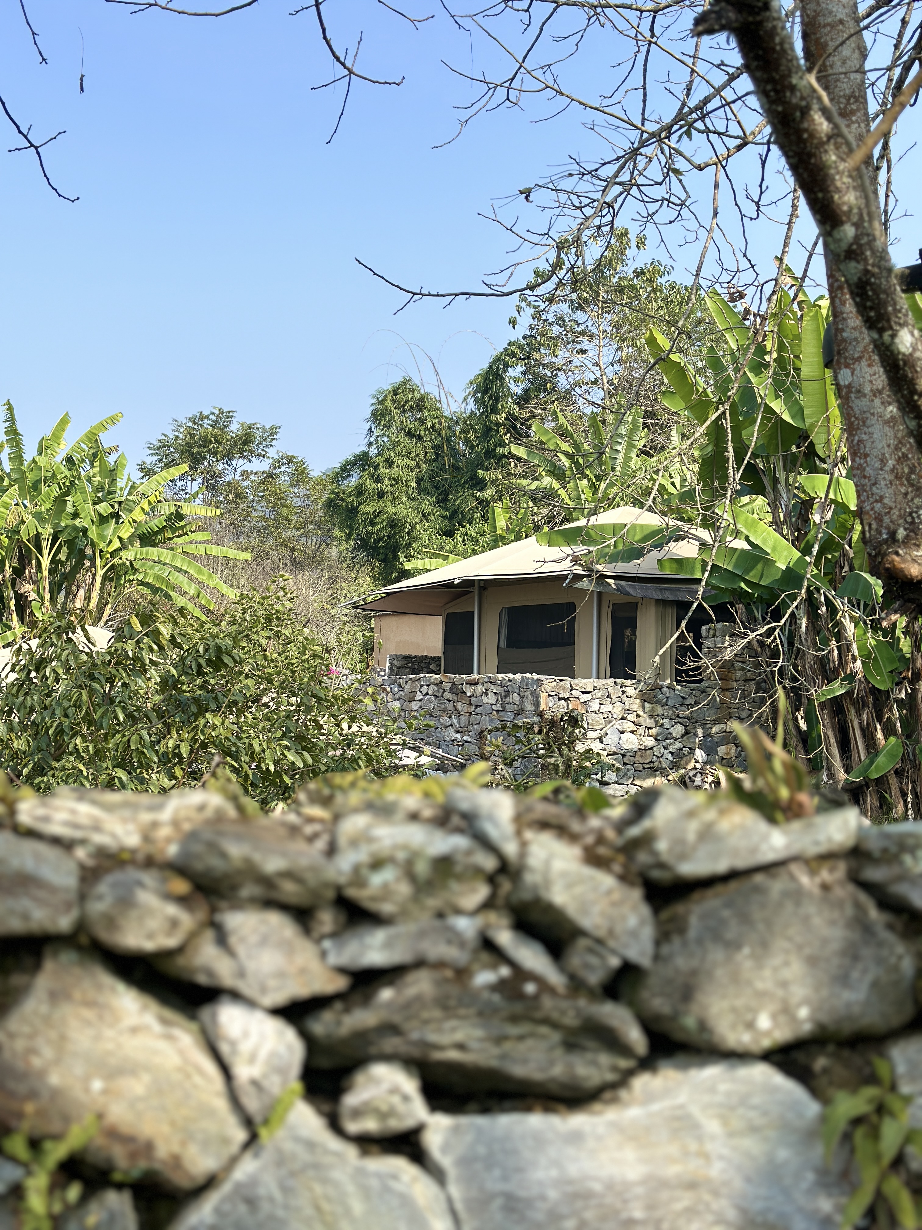 Stay in a tent built upon ancient ruins and overlook the timeless beauty of the Hani Terraces awakening in the morning light. /CGTN