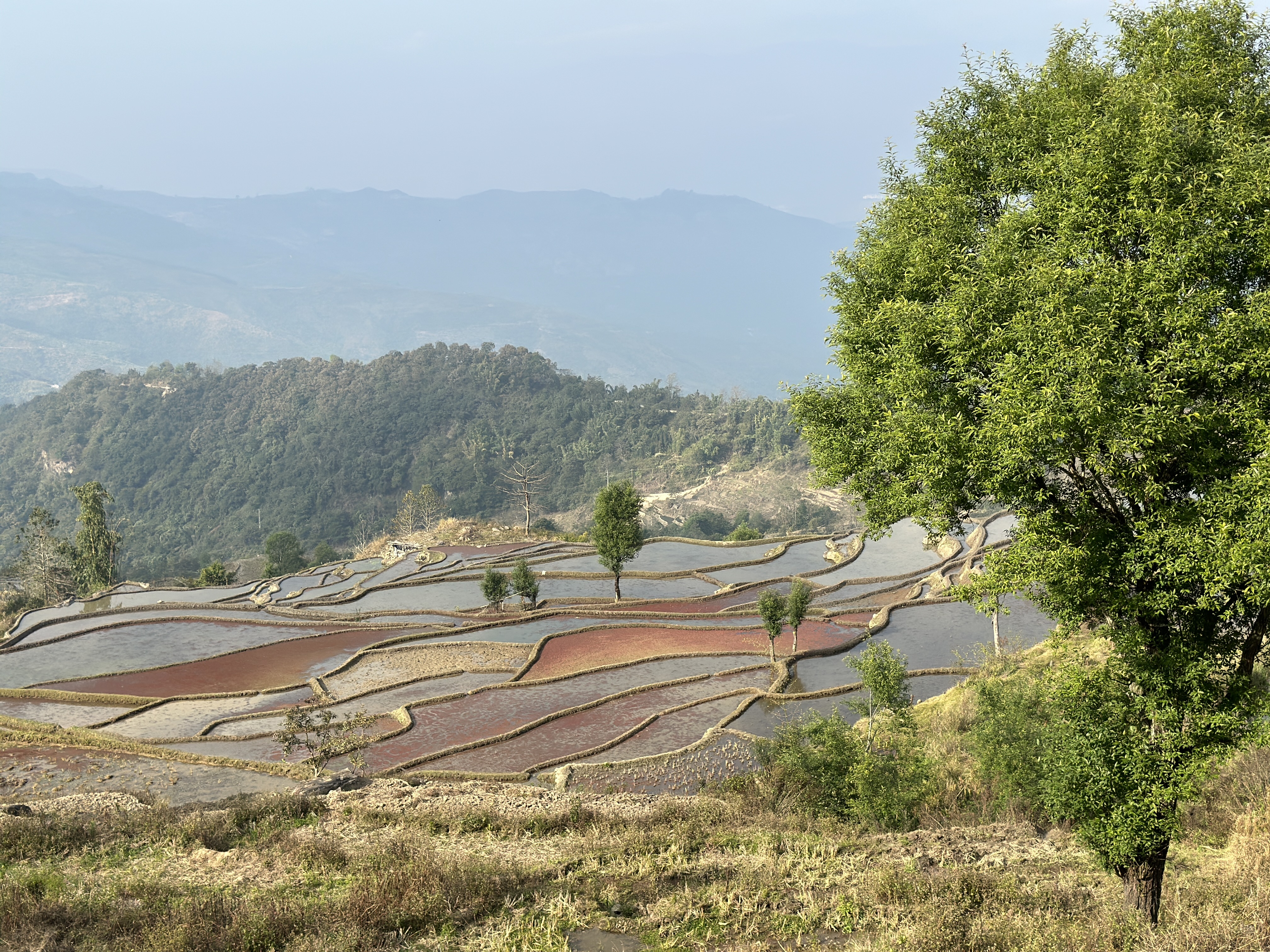Stay in a tent built upon ancient ruins and overlook the timeless beauty of the Hani Terraces awakening in the morning light. /CGTN