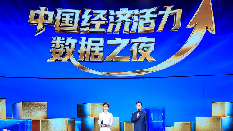 Resilience in focus: China's Economic Vitality Data Night