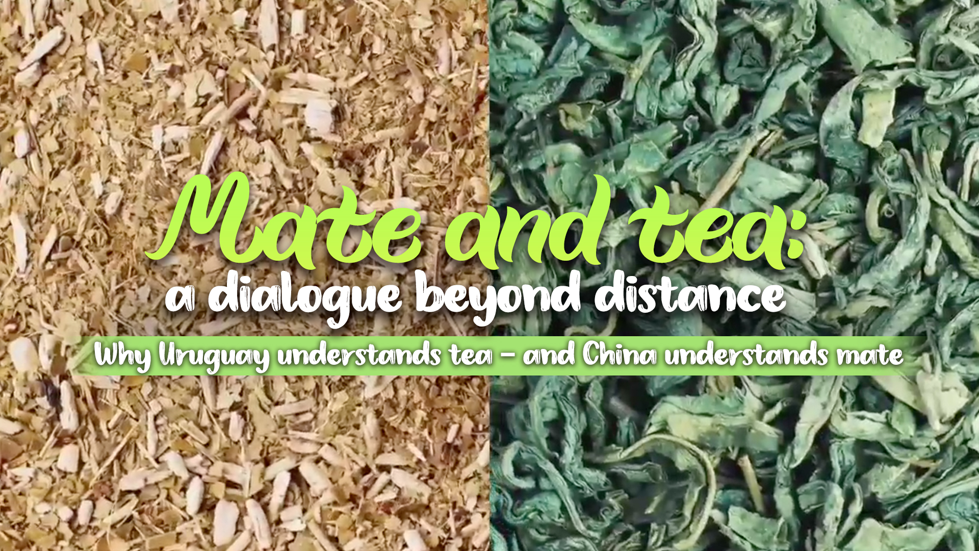Mate and tea: a dialogue beyond distance