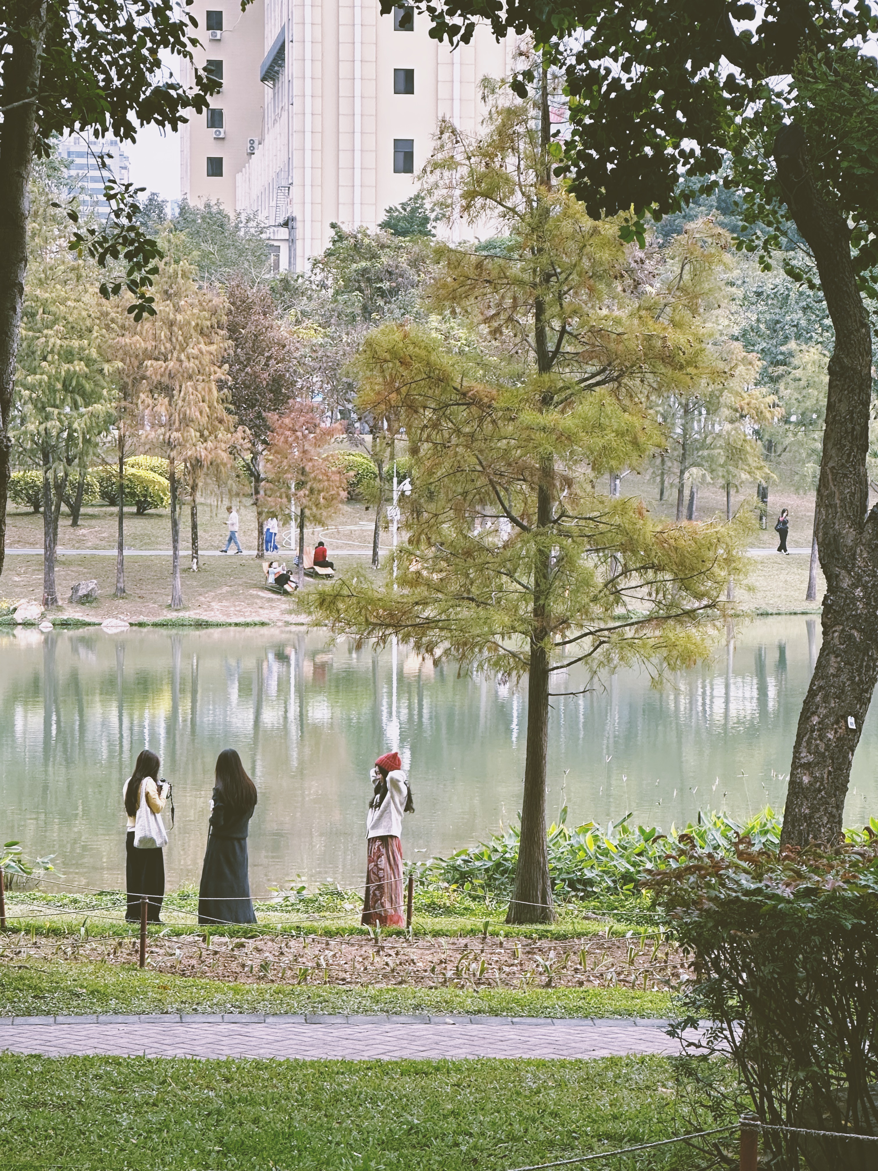 A park in Shenzhen, a leading tech hub in Guangdong Province, south China, is surrounded by lush greenery. /CGTN