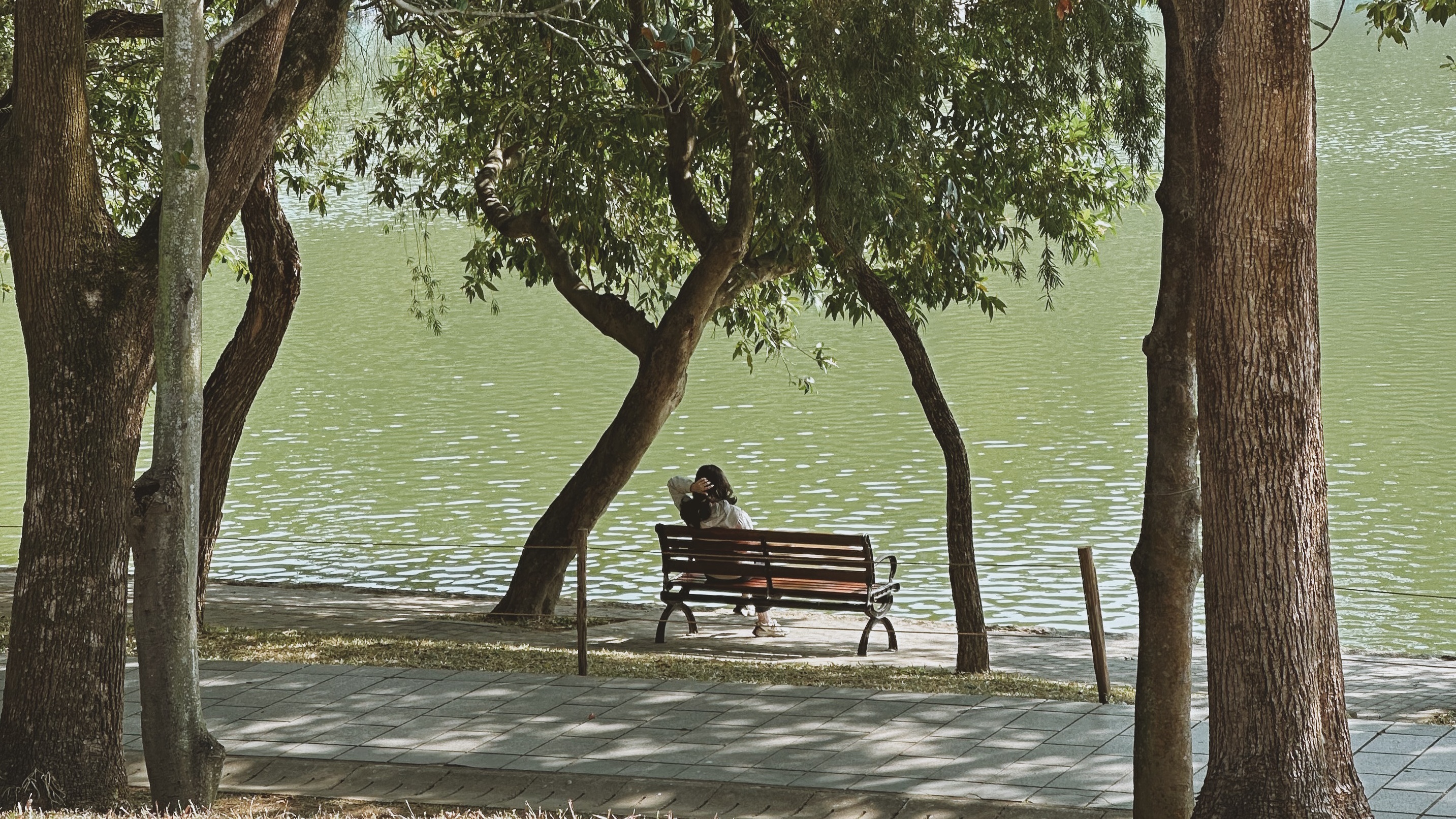 Shenzhen: A tech city surrounded by parks