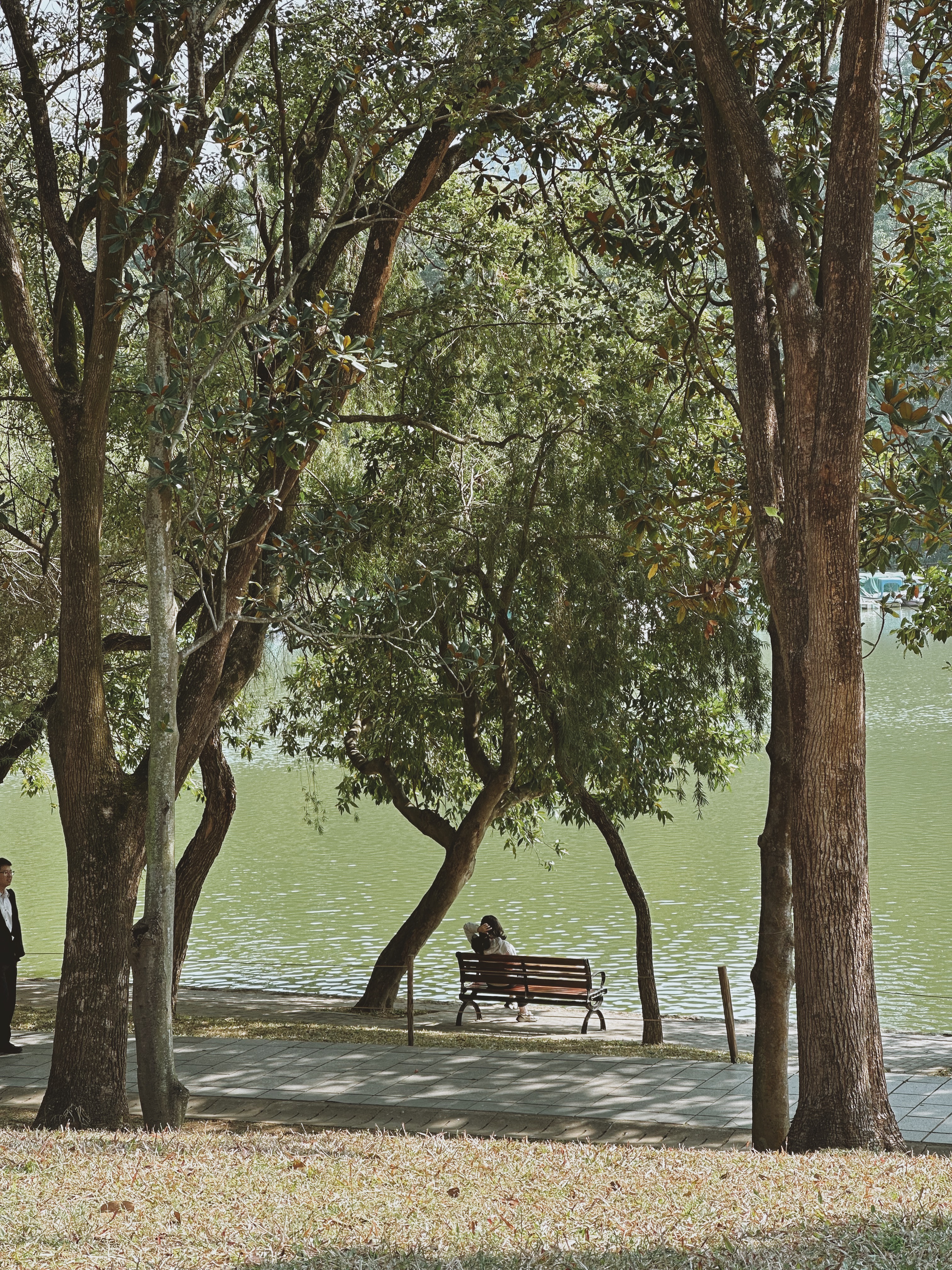 A park in Shenzhen, a leading tech hub in Guangdong Province, south China, is surrounded by lush greenery. /CGTN