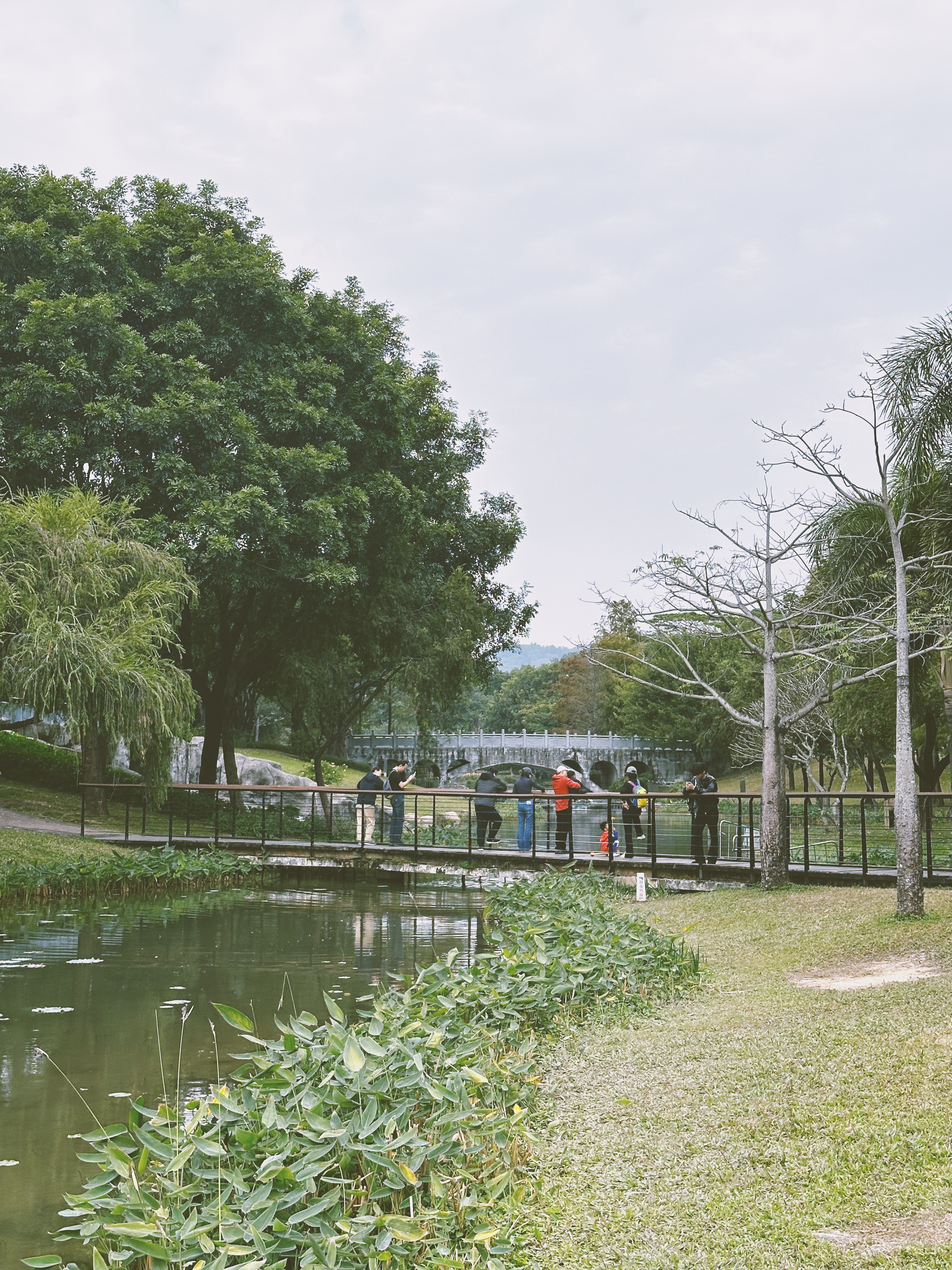 A park in Shenzhen, a leading tech hub in Guangdong Province, south China, is surrounded by lush greenery. /CGTN