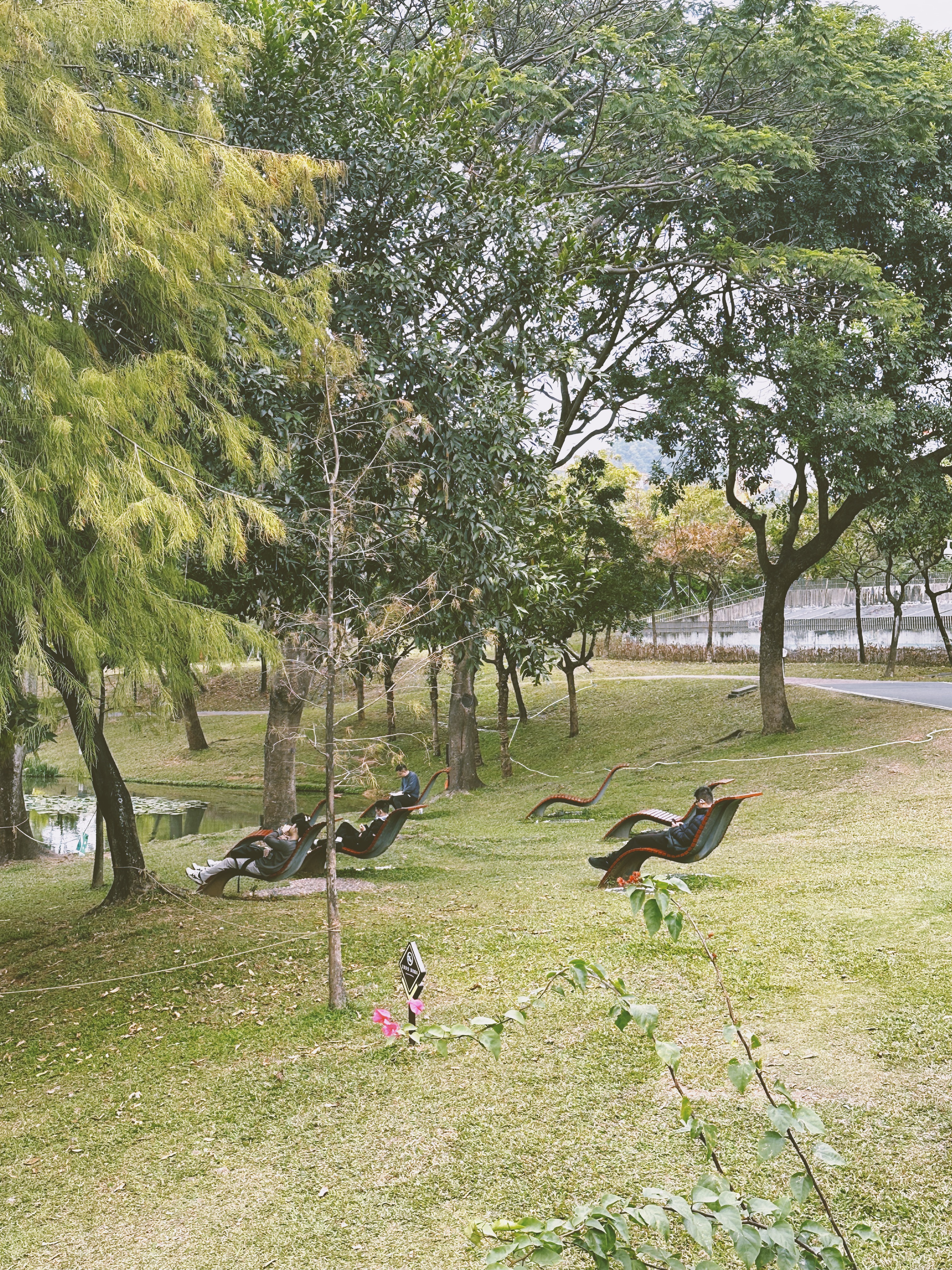 A park in Shenzhen, a leading tech hub in Guangdong Province, south China, is surrounded by lush greenery. /CGTN