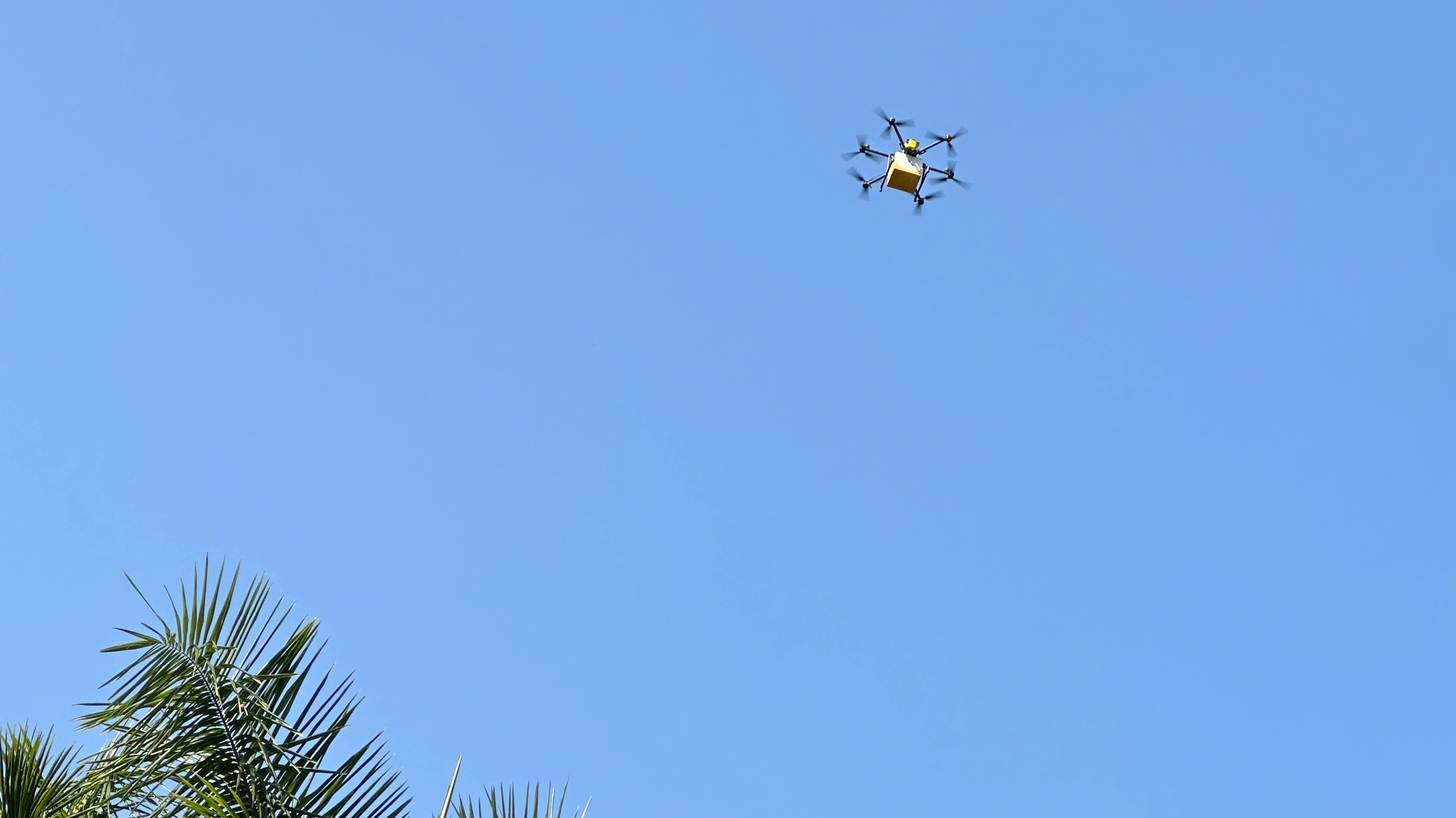 Drone deliveries become everyday life in Shenzhen's parks